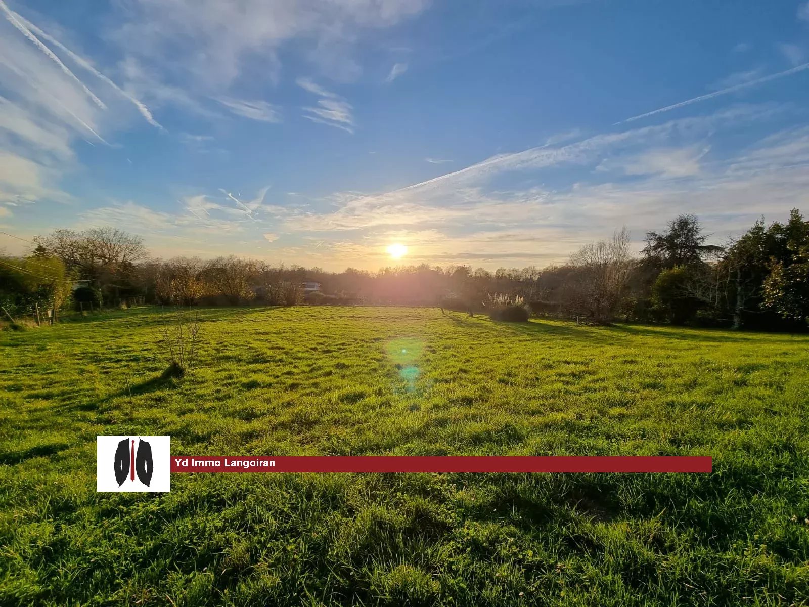 Agence immobilière de YD Immo