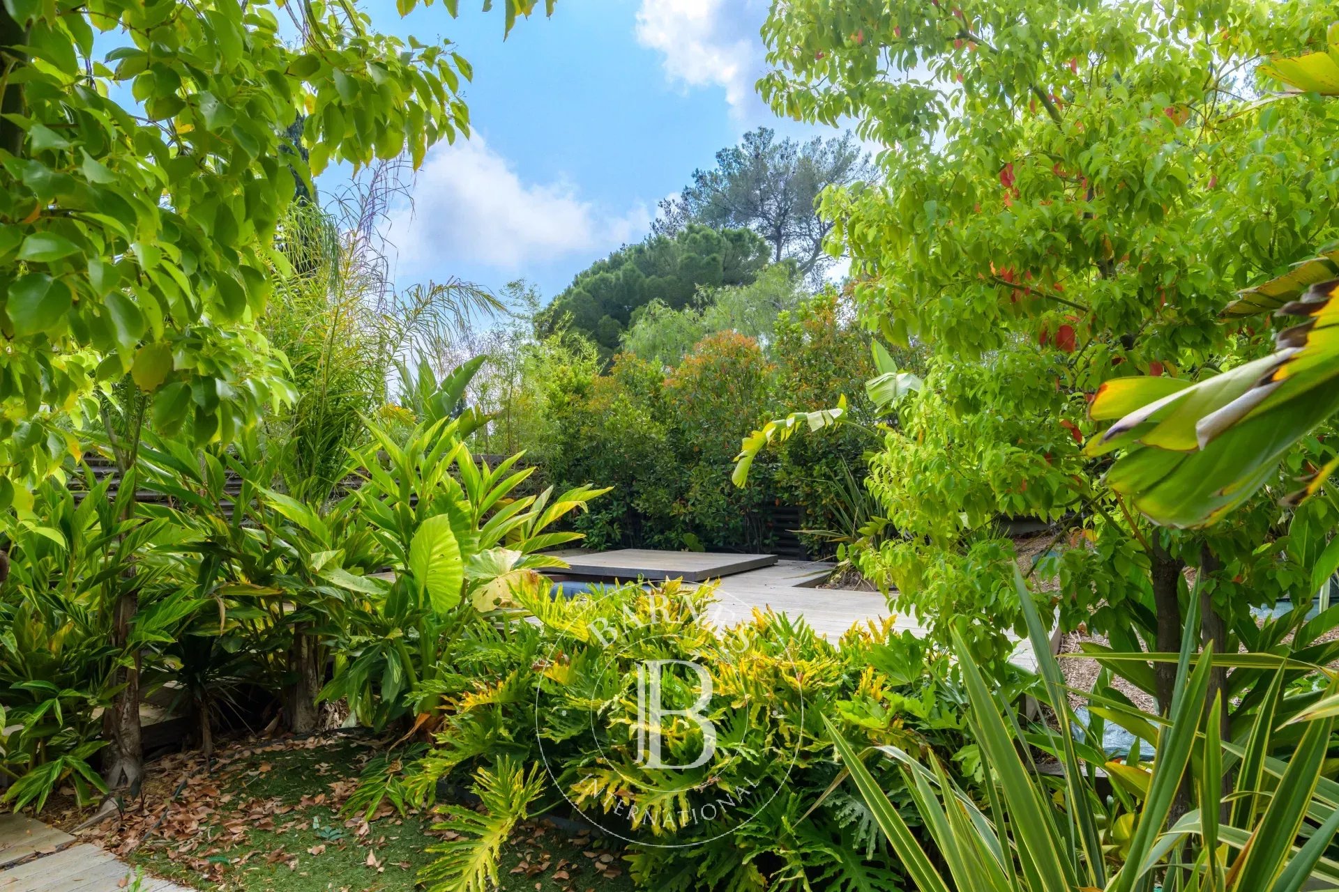 Daire Sanary-sur-Mer - picture 15