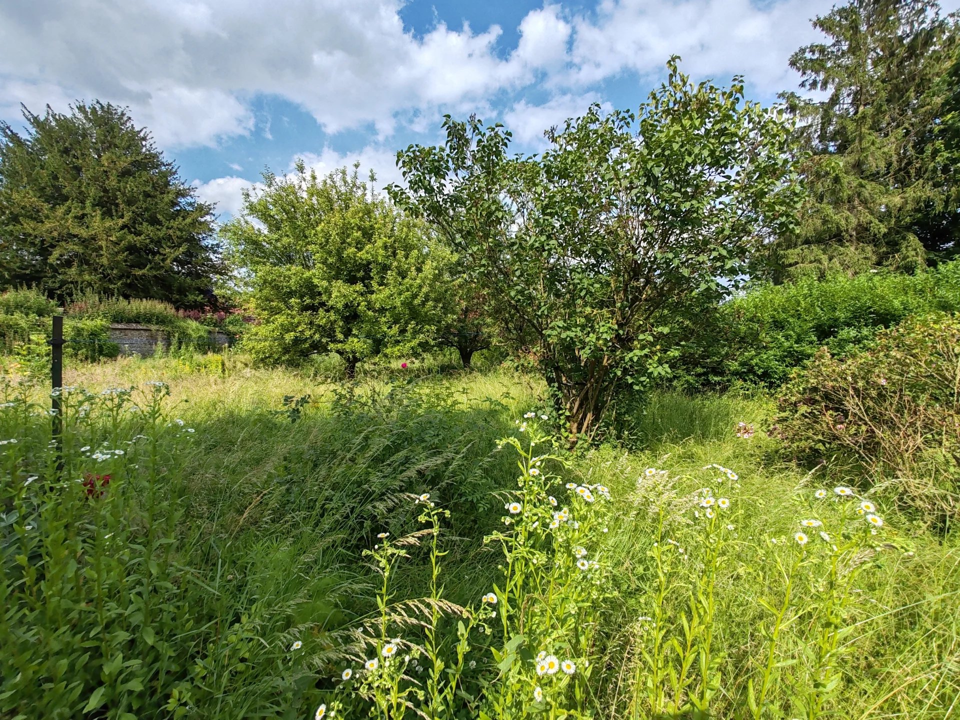 Agence immobilière de Eleven Immobilier