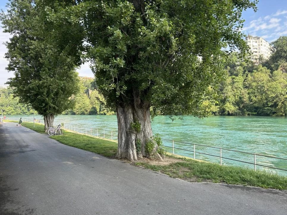 Elégance et Lumière à proximité des Berges du Rhône