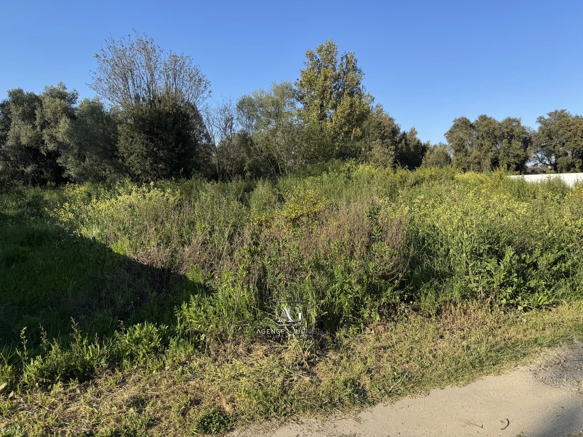 Agence immobilière de Agence Giudicelli Immobilier