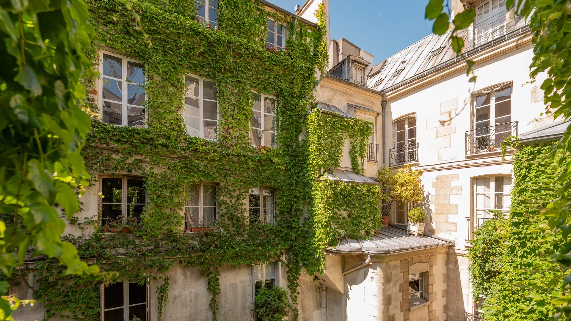 Paris 6e - MONNAIE