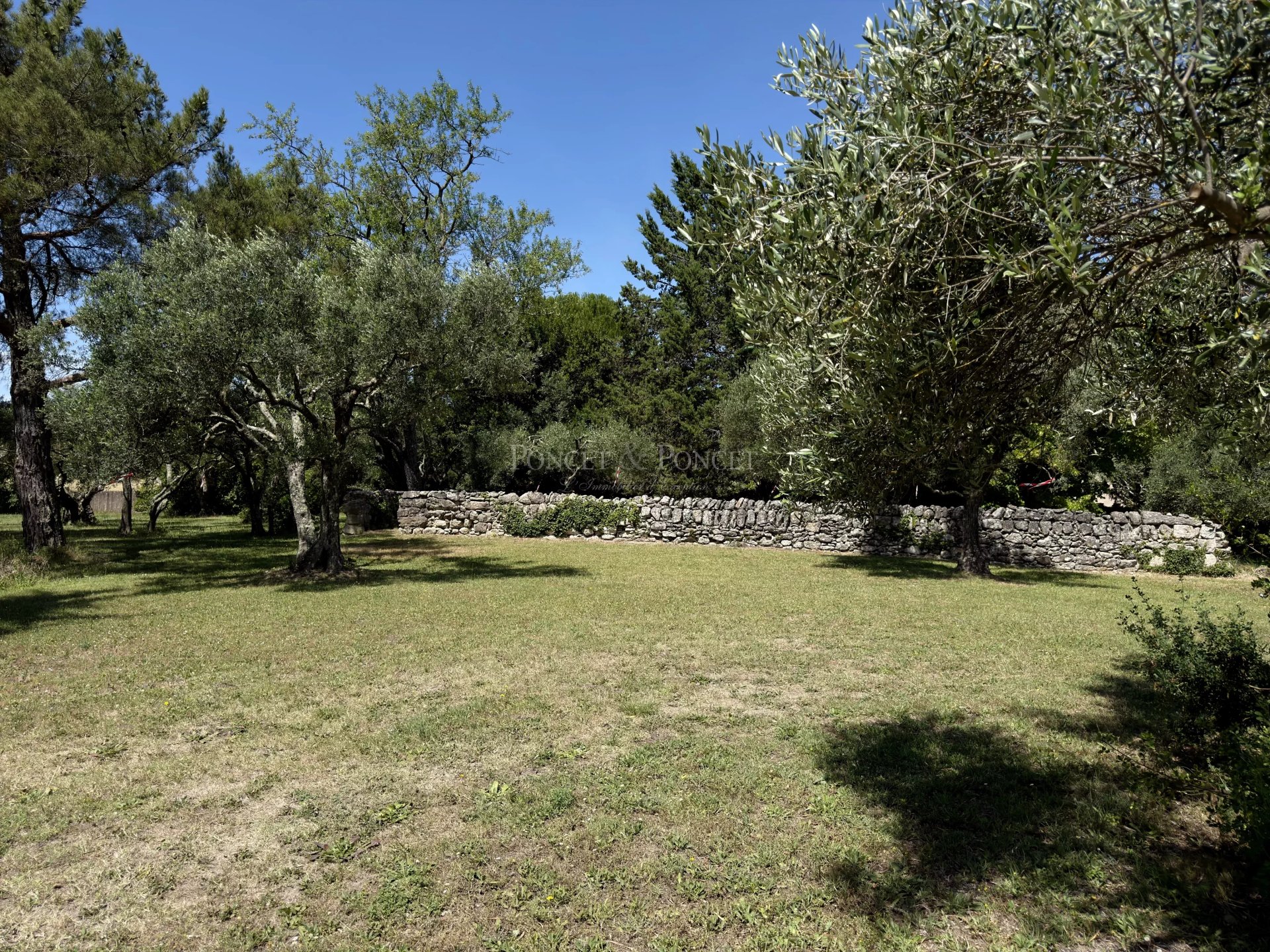 4 Bedroom Villa/Townhouse's Image 18