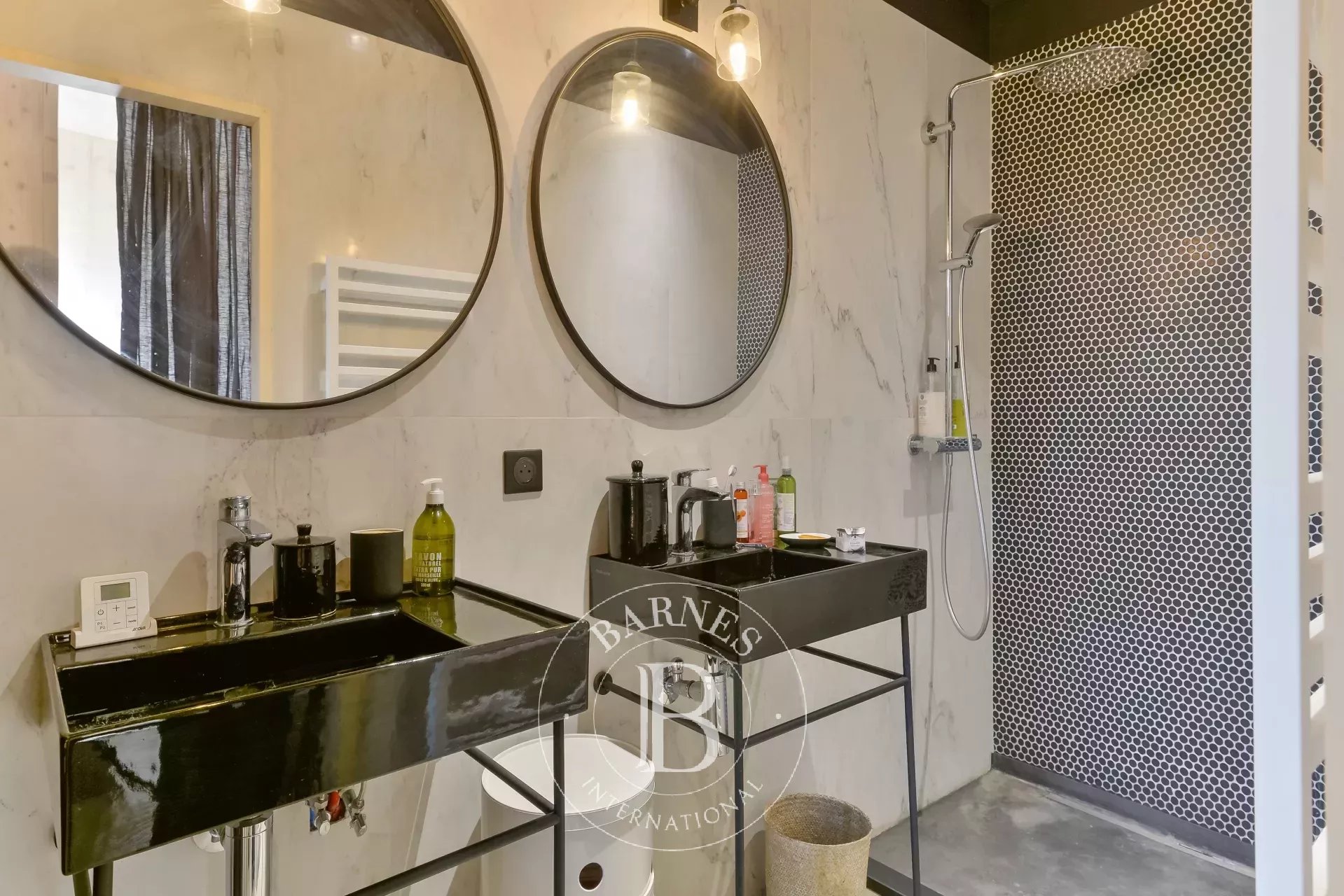 Ev Dardilly - picture 13