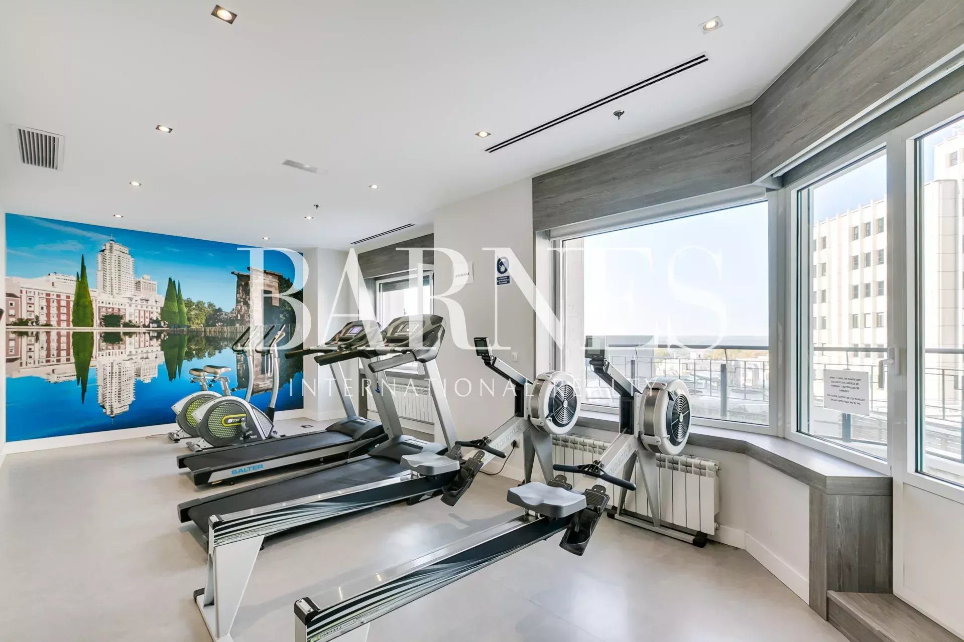 Daire Madrid - picture 26