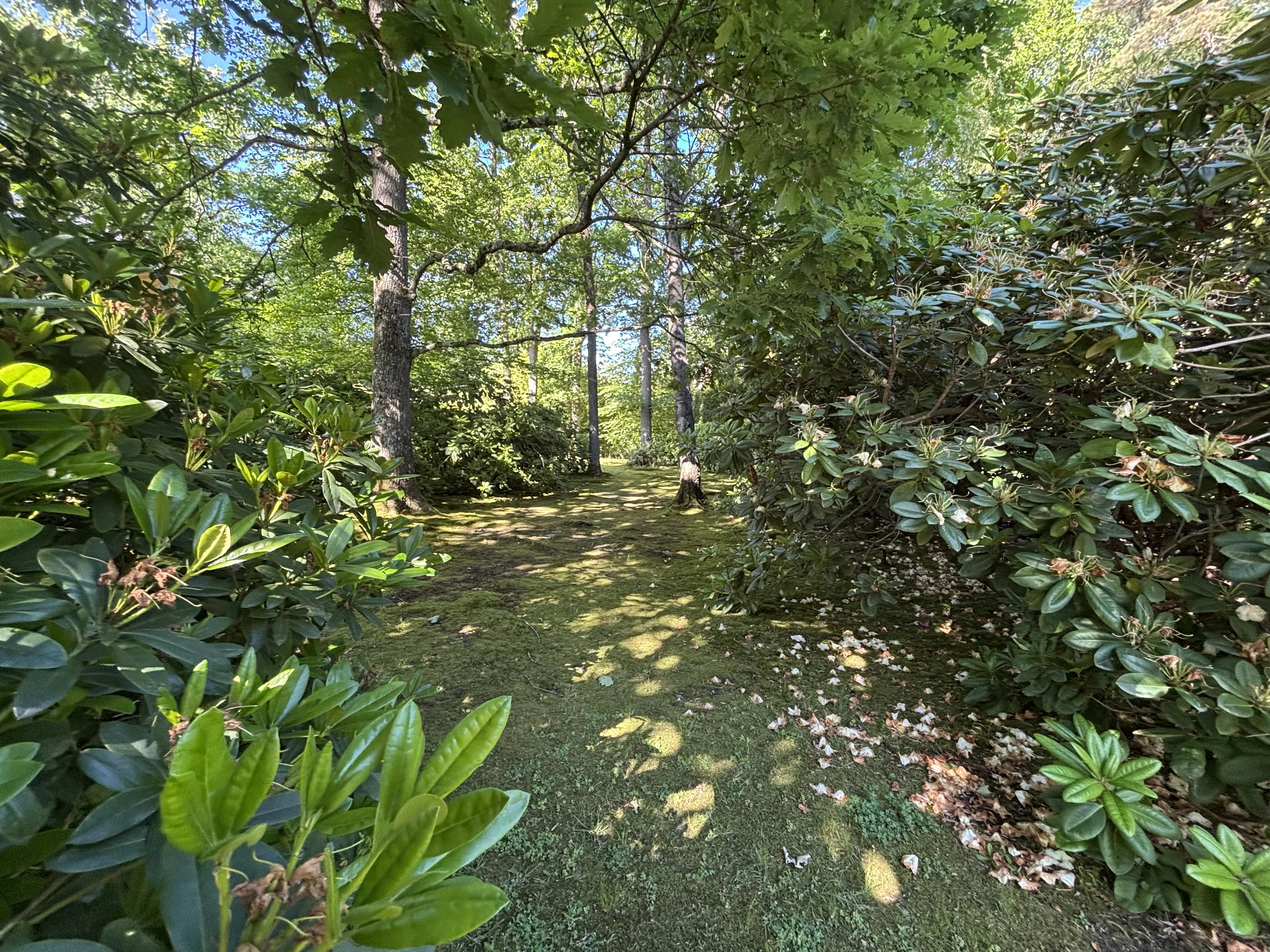 Élégante villa de caractère sur terrain +- 10 ares