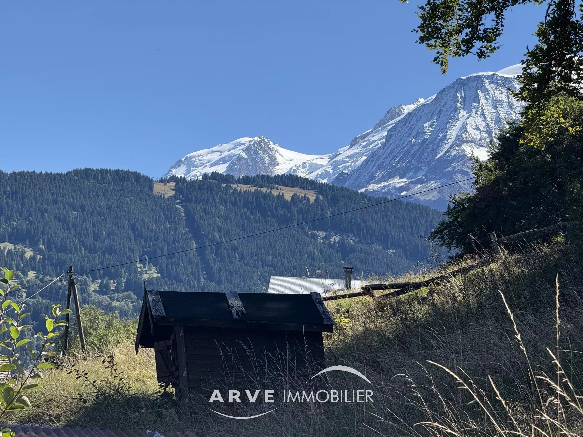 Agence immobilière de SAS MBI II