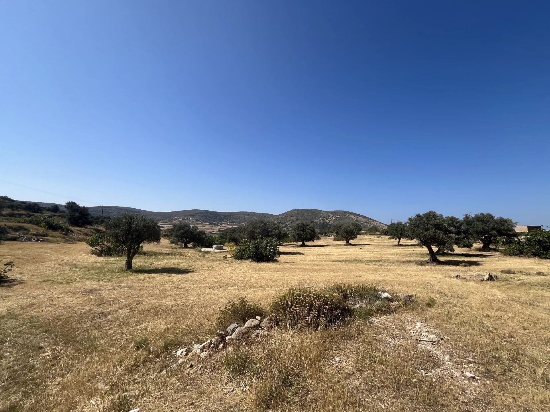 Image de la propriété 20