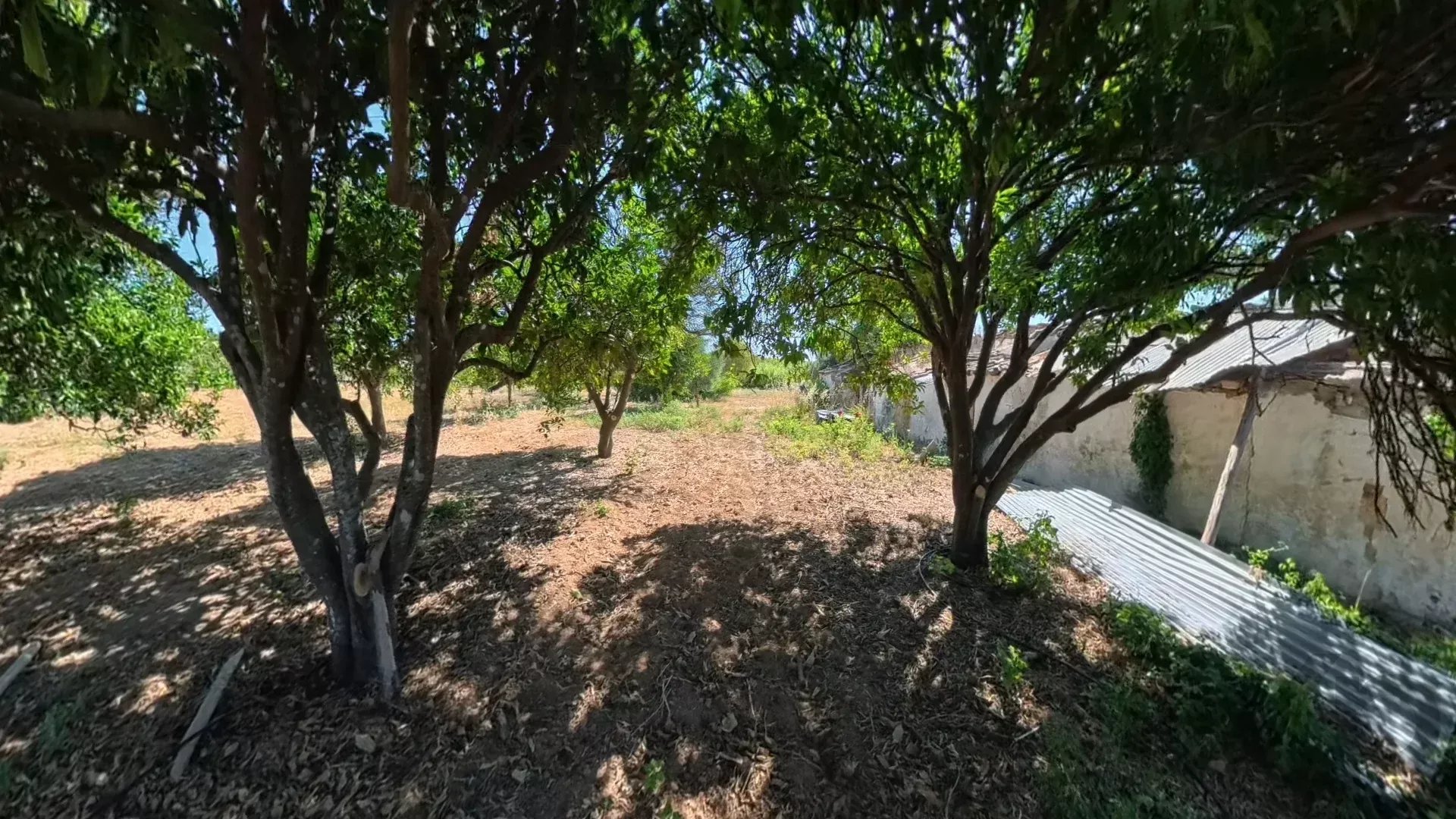 Traditional Countryside Property in Santo Estêvão, Tavira 87172633 image 15