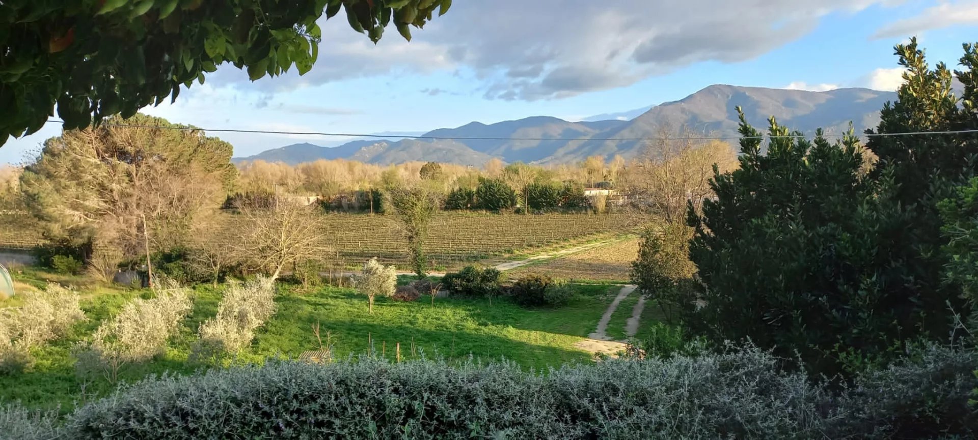 Vente Maison Brouilla