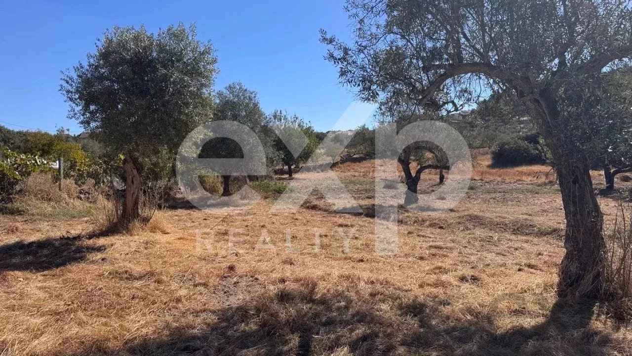 Venda Terreno rústico Aranhas Aranhas