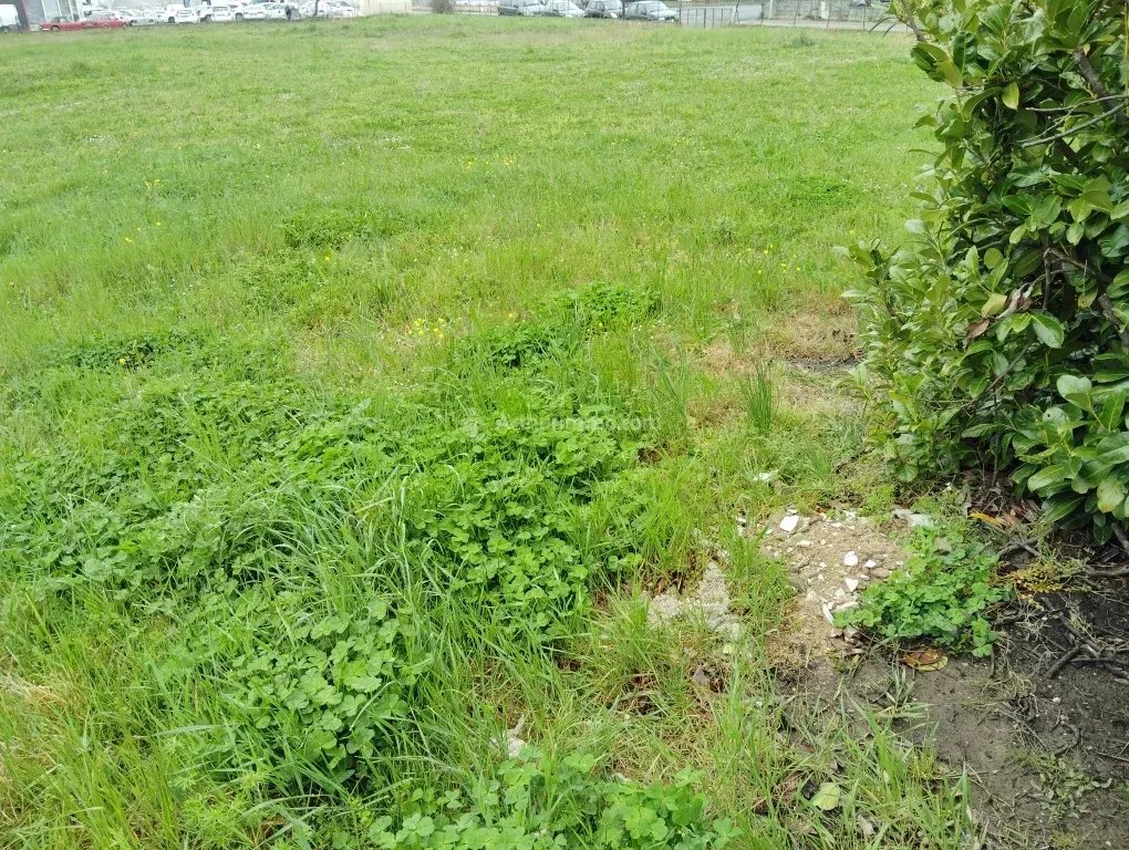 Agence immobilière de Arthurimmo.com - Albi