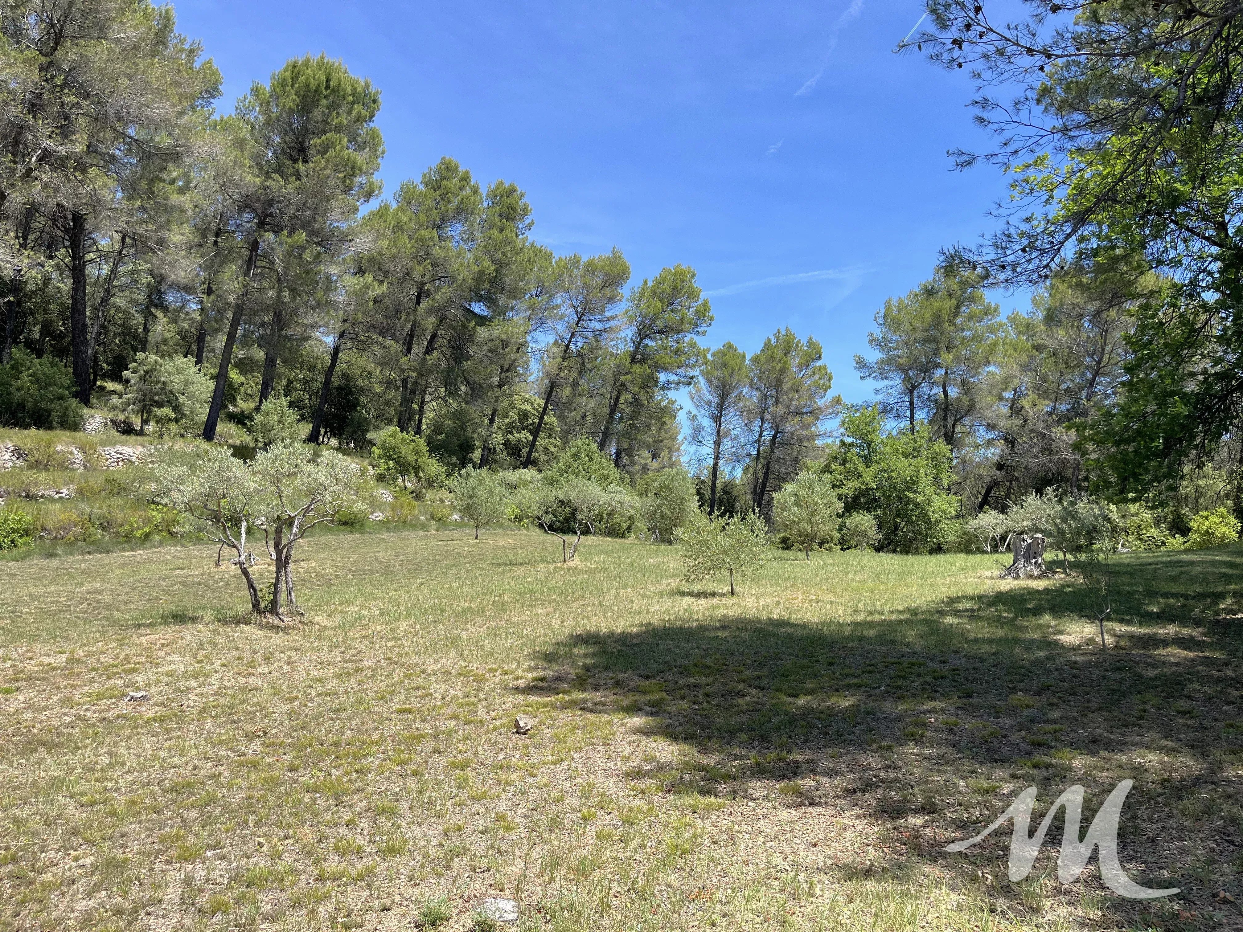 Propriété d’exception au cœur de la nature – 3,7 hectares avec vue panoramique