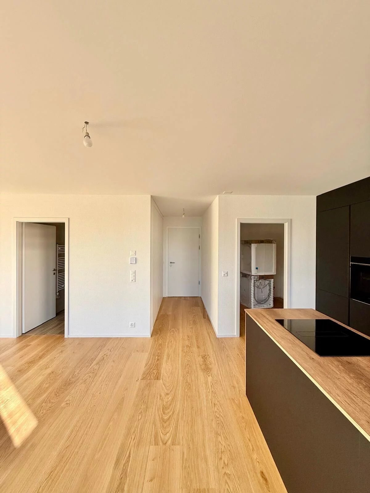 Splendide attique 3.5 pièces neuf à Sion