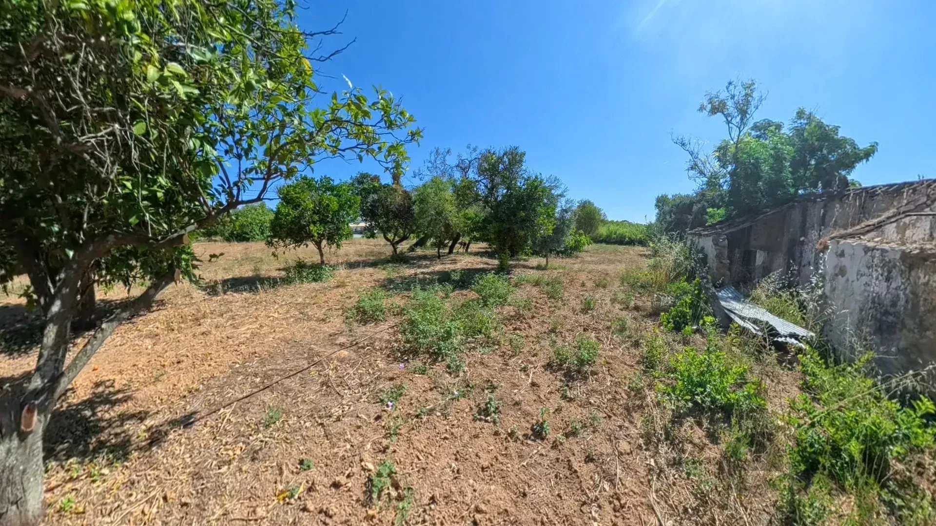 Traditional Countryside Property in Santo Estêvão, Tavira 87172633 image 16