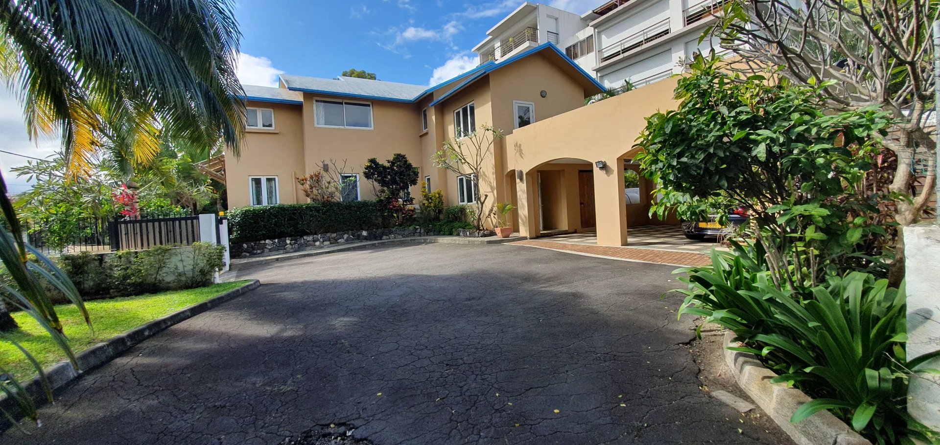 Ev Tamarin - picture 8