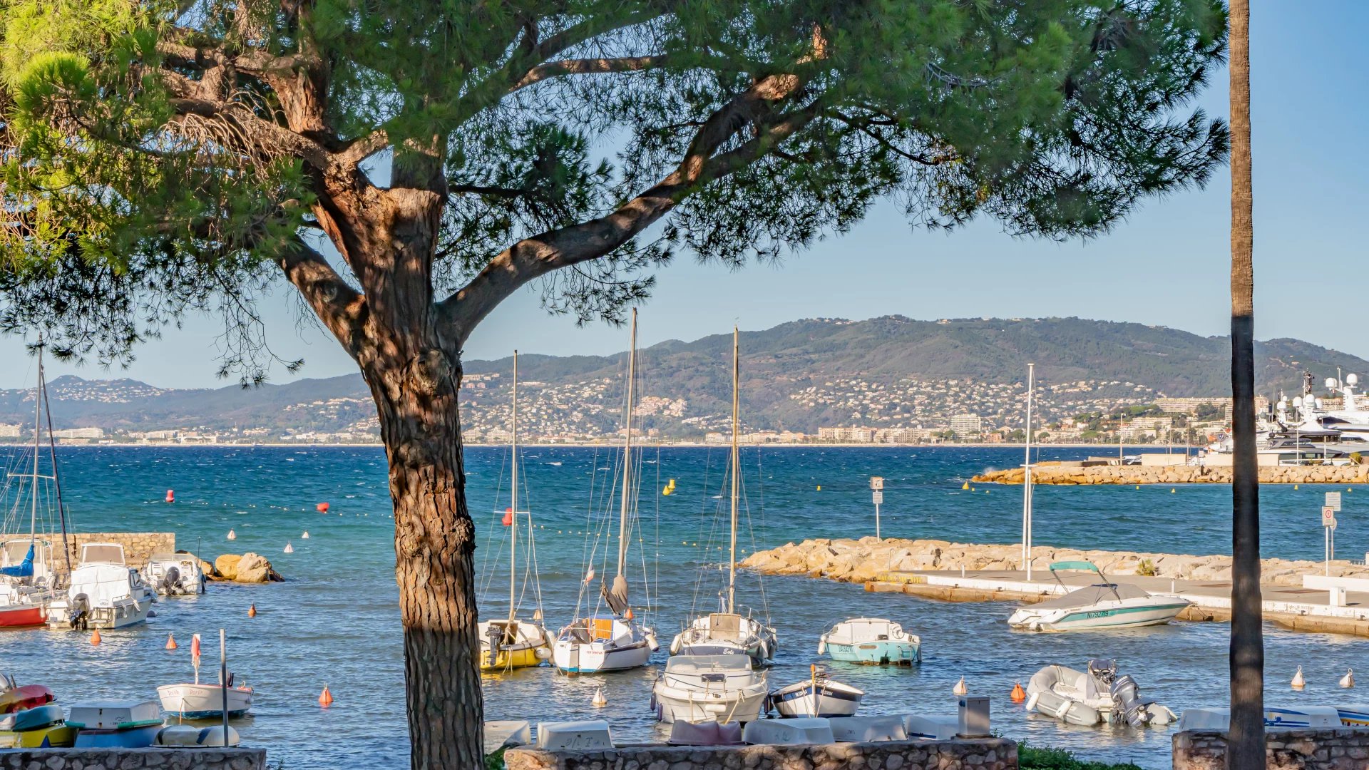 Cannes Pointe Croisette - Appartement 2 pièces