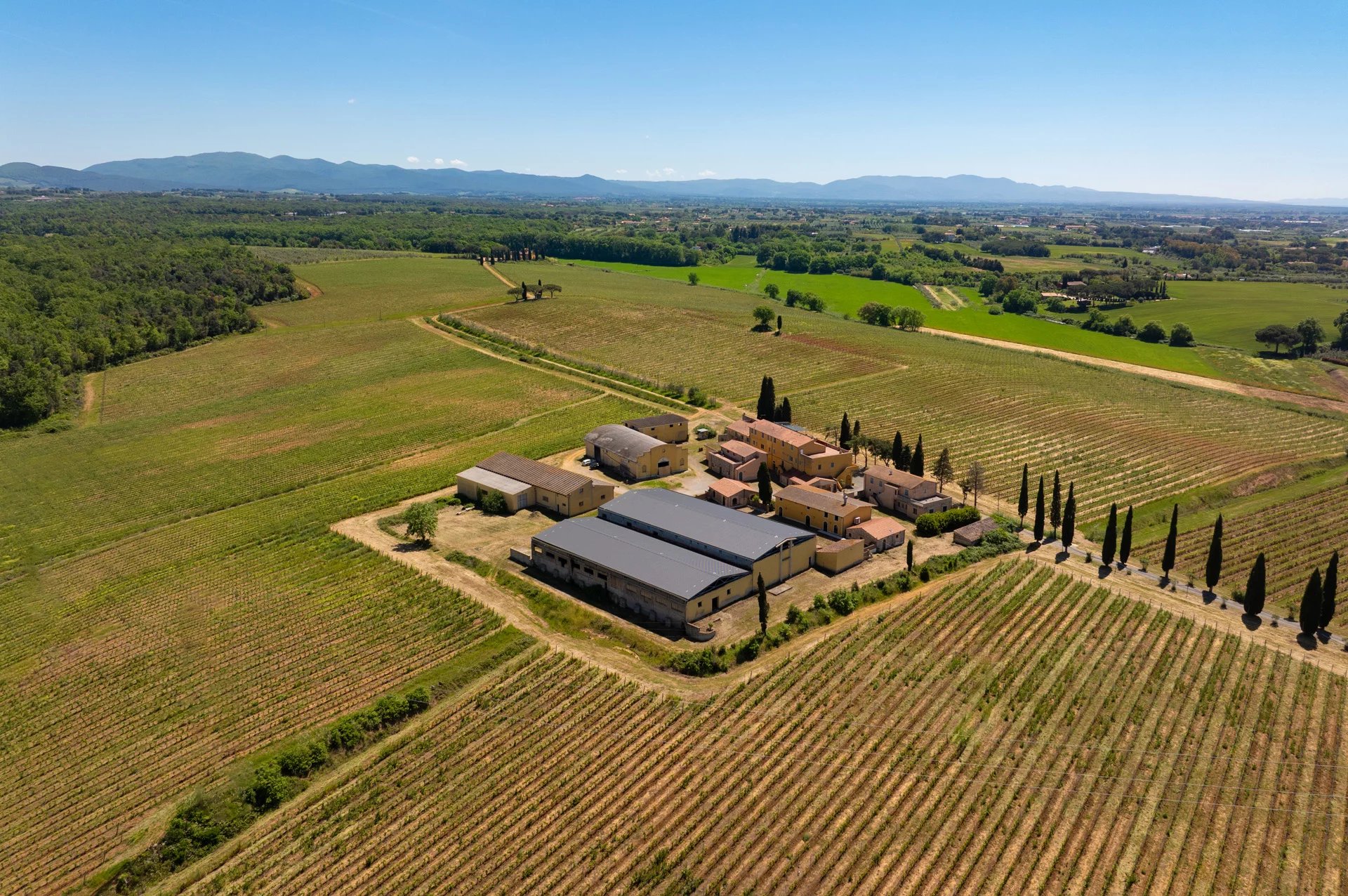  TENUTA VITIVINICOLA DI 380 HA IN VENDITA SULLA COSTA TOSCANA