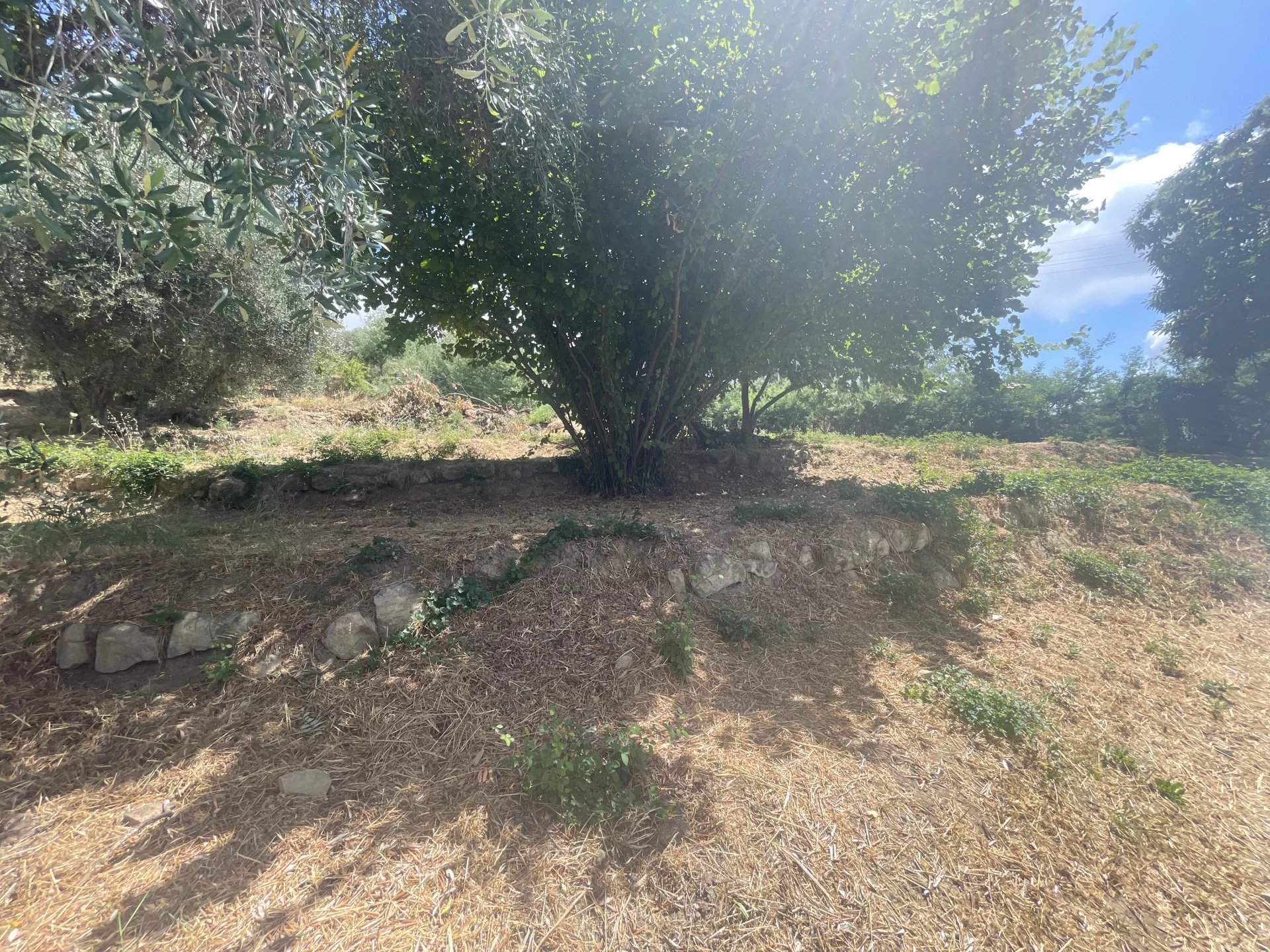 COARAZE - Photo 3