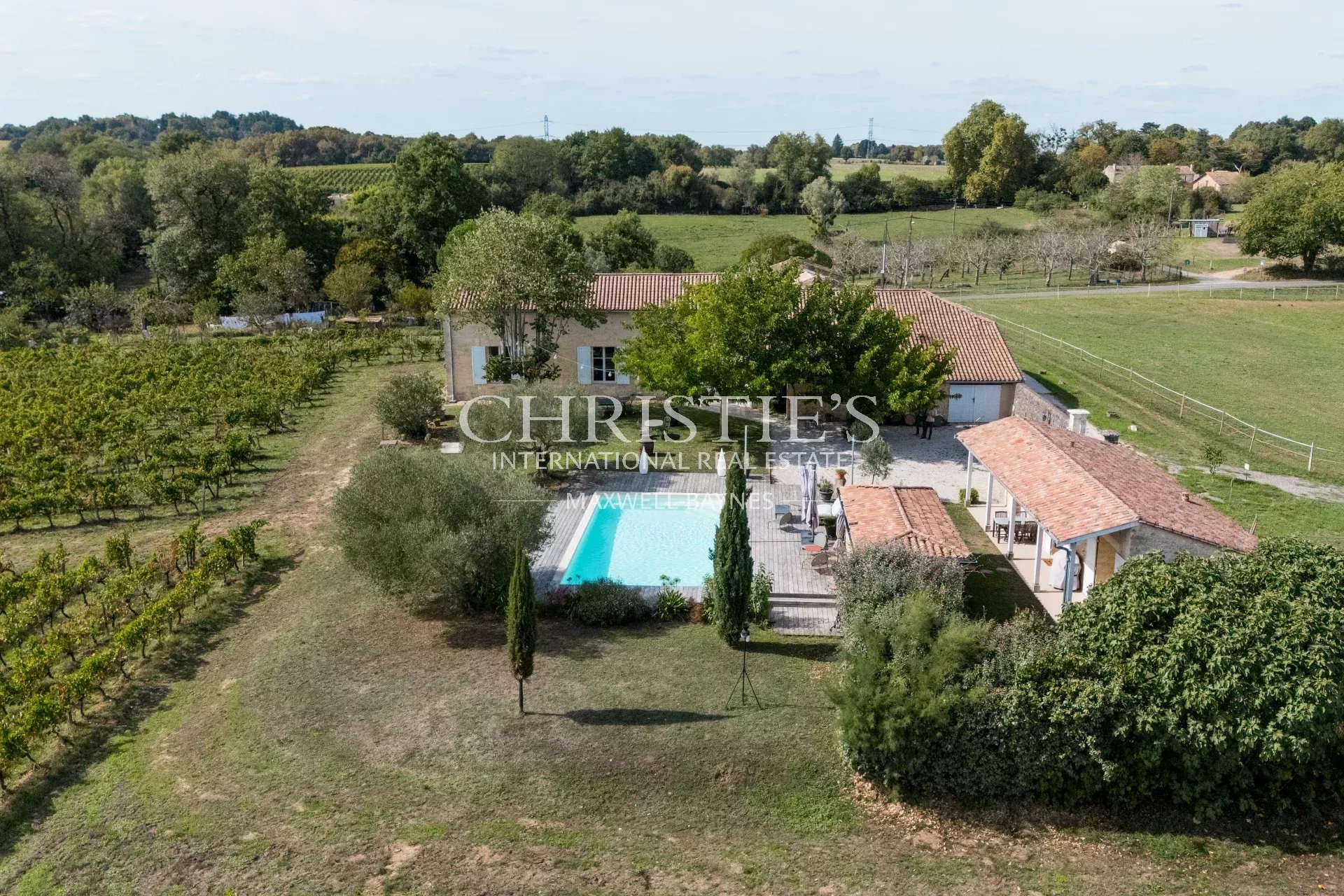 Vineyard's Image 18