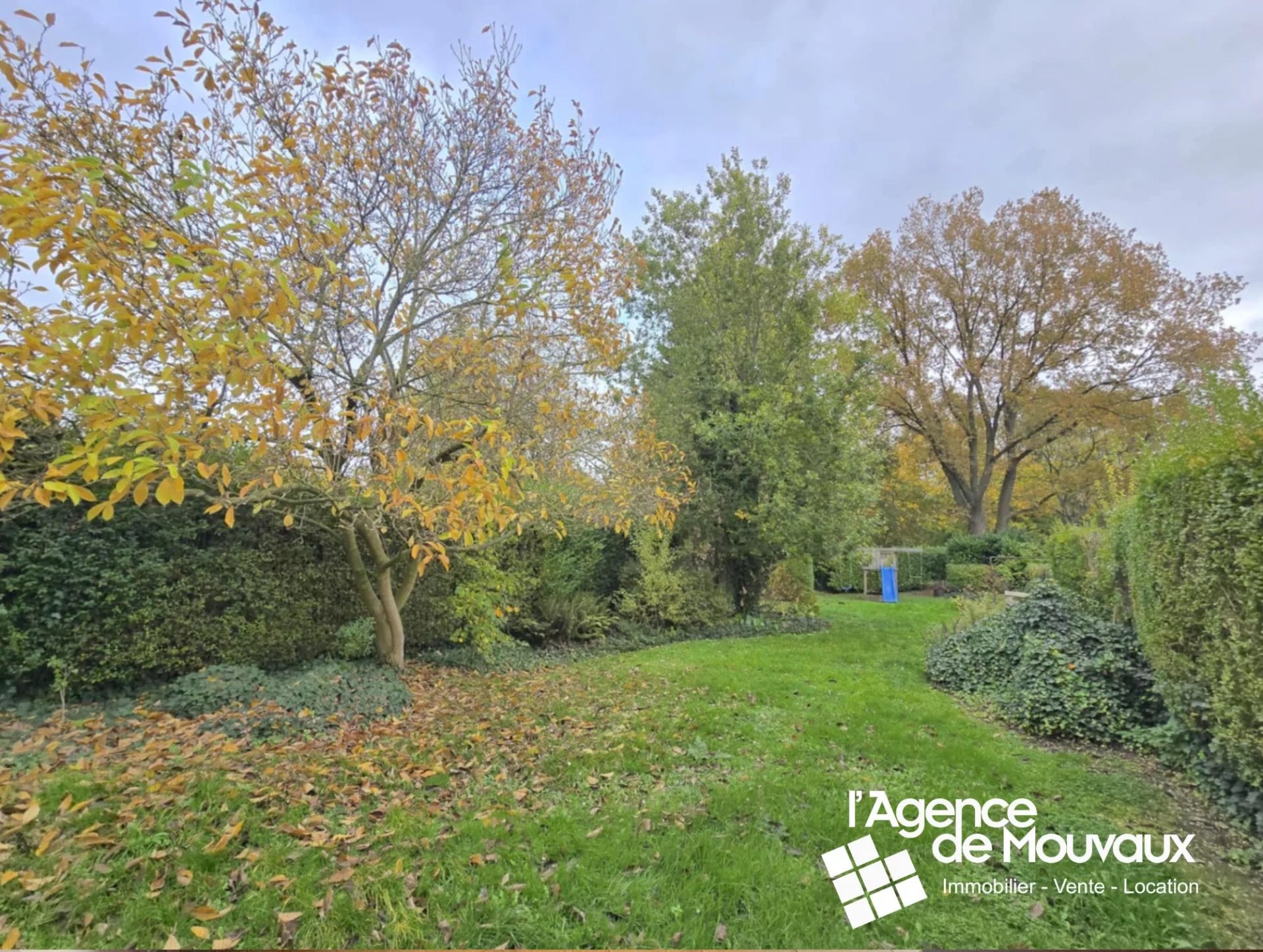 Agence immobilière de 