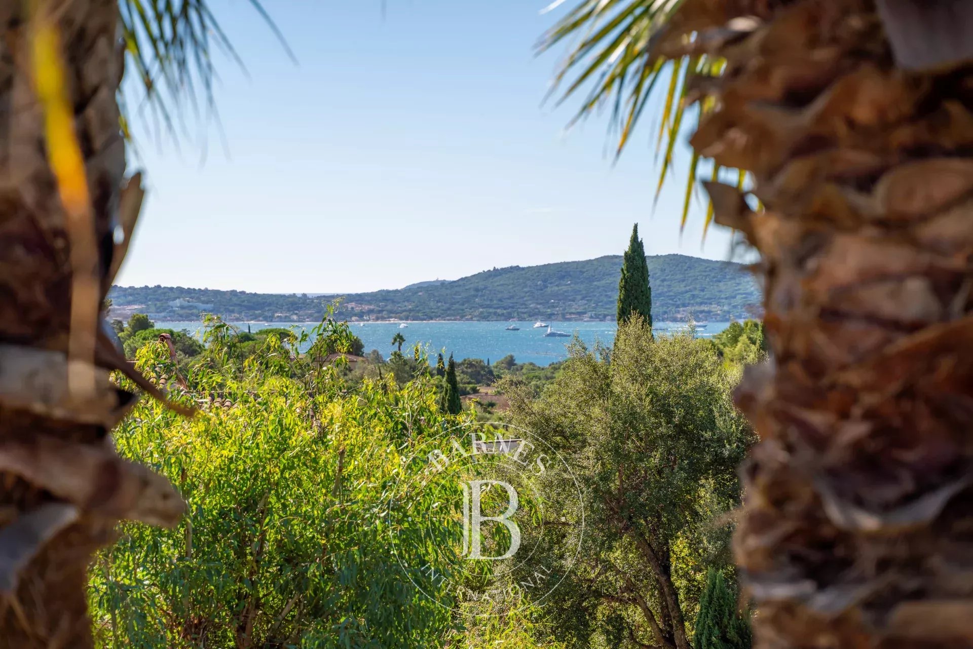 Ev Grimaud - picture 6