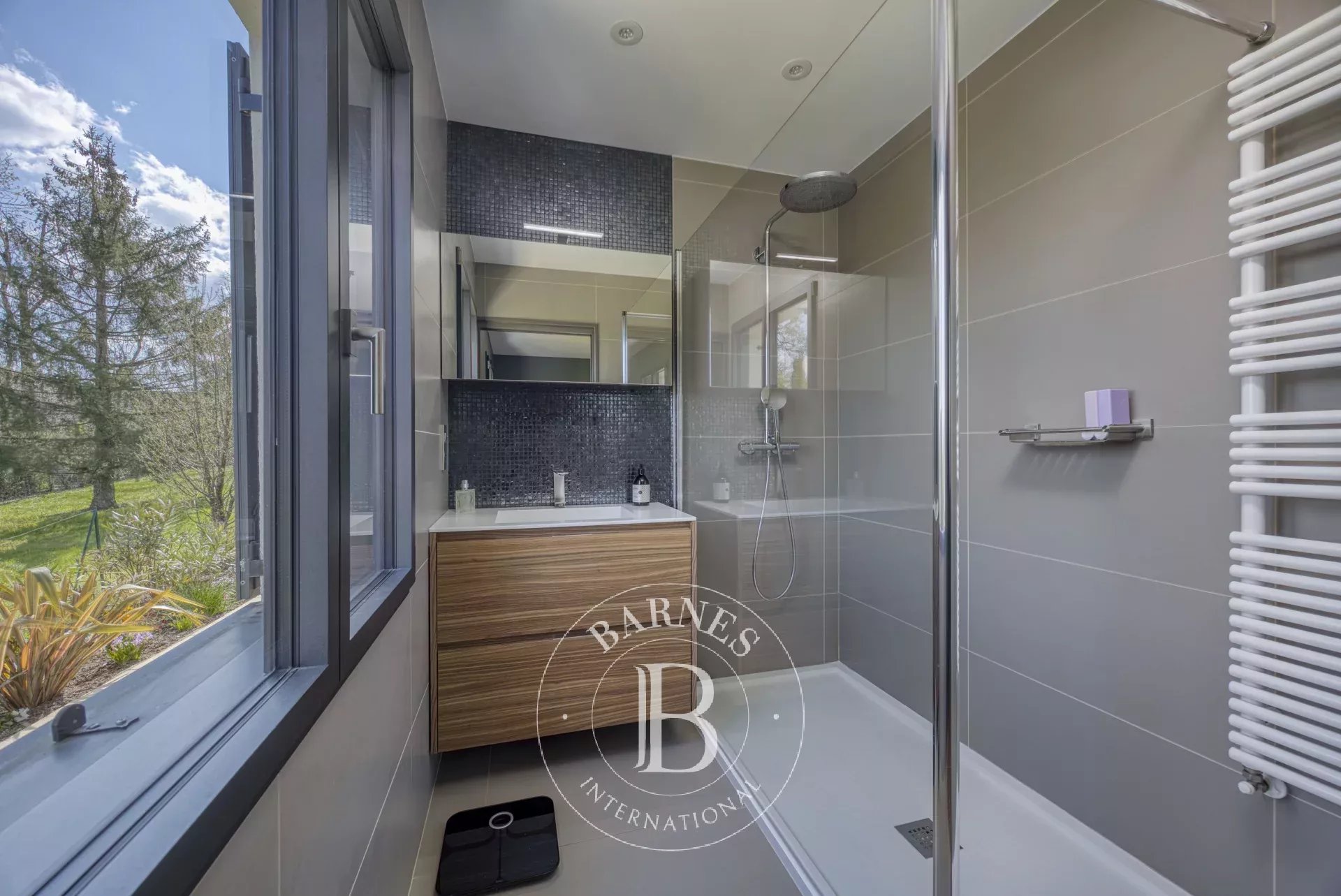 Villa Thoiry - picture 8