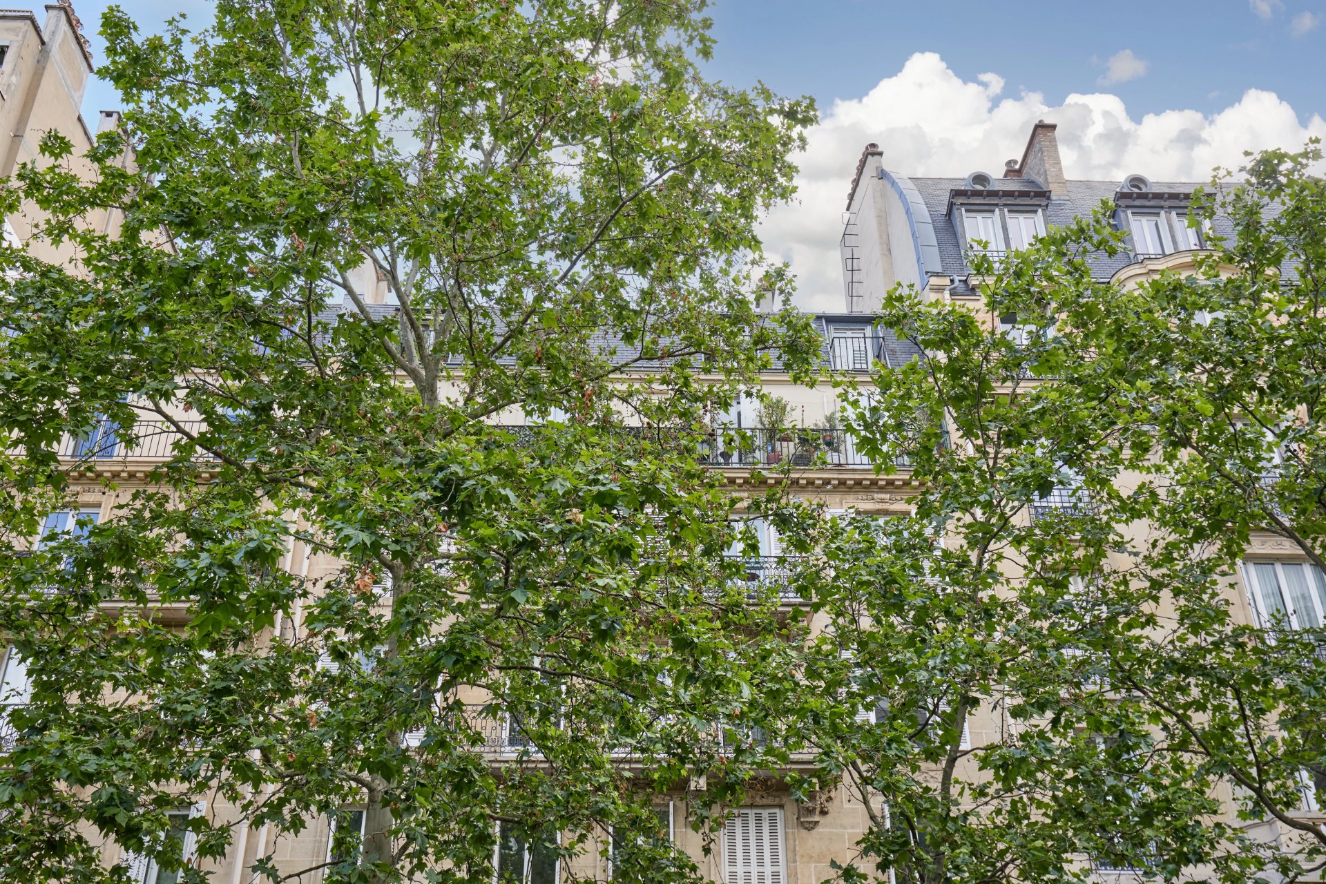 3 Bedroom Apartment/Flat's Image 11