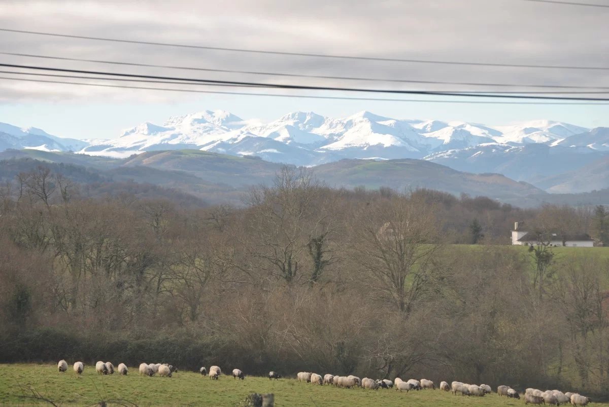 Maison restaurée vue Pyrénées