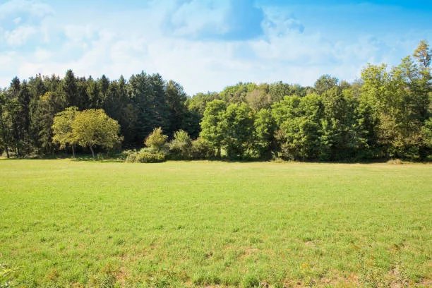 Agence immobilière de Nord Immo