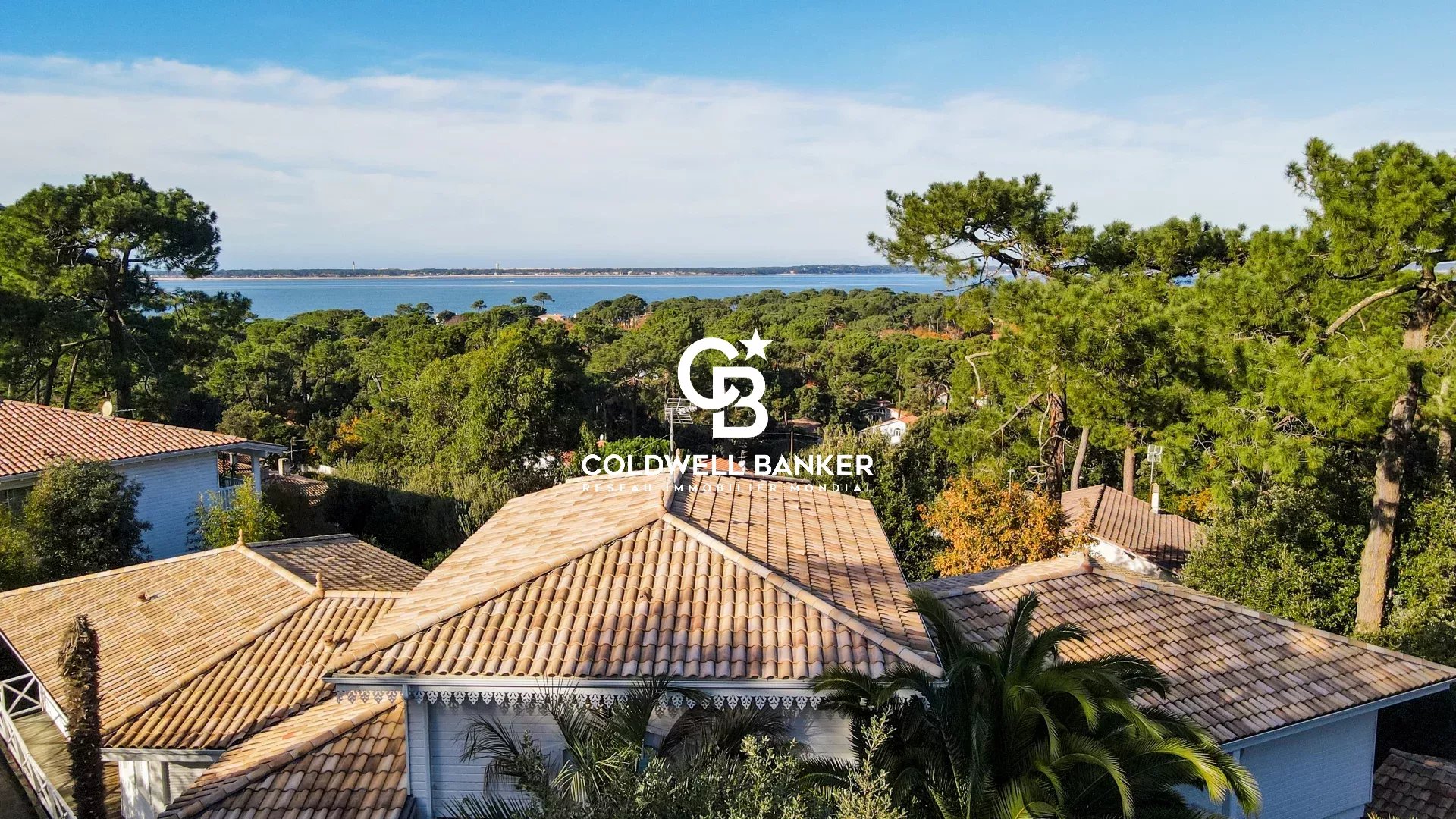 Agence immobilière de Silver Coast Int. Realty