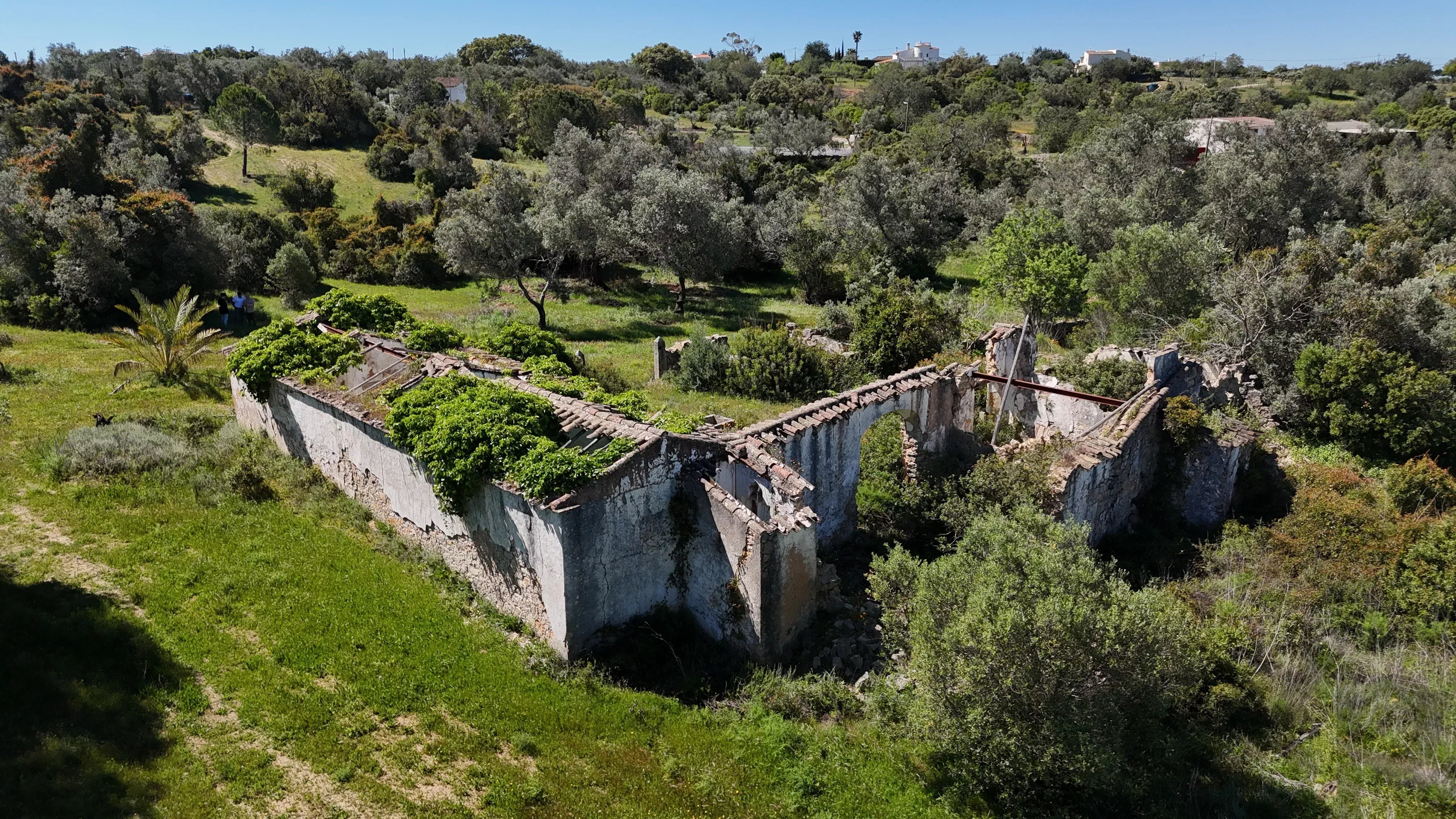 Ruins with Approved Project | 750m² of Construction | 39,960m² of Land | Santa Bárbara de Nexe 86965238 image 3