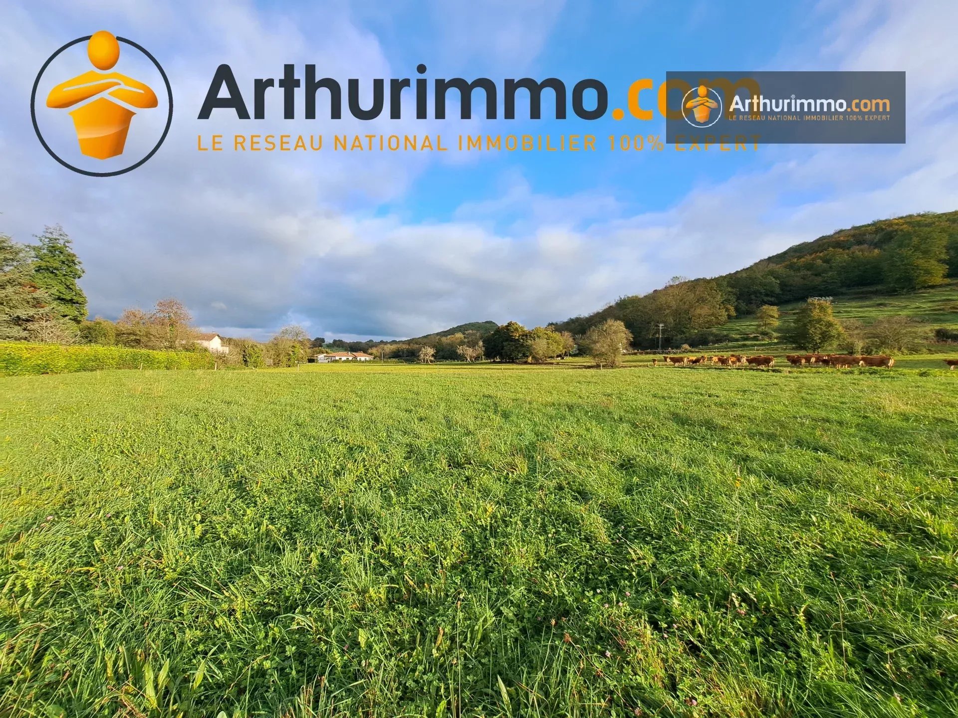 Agence immobilière de 