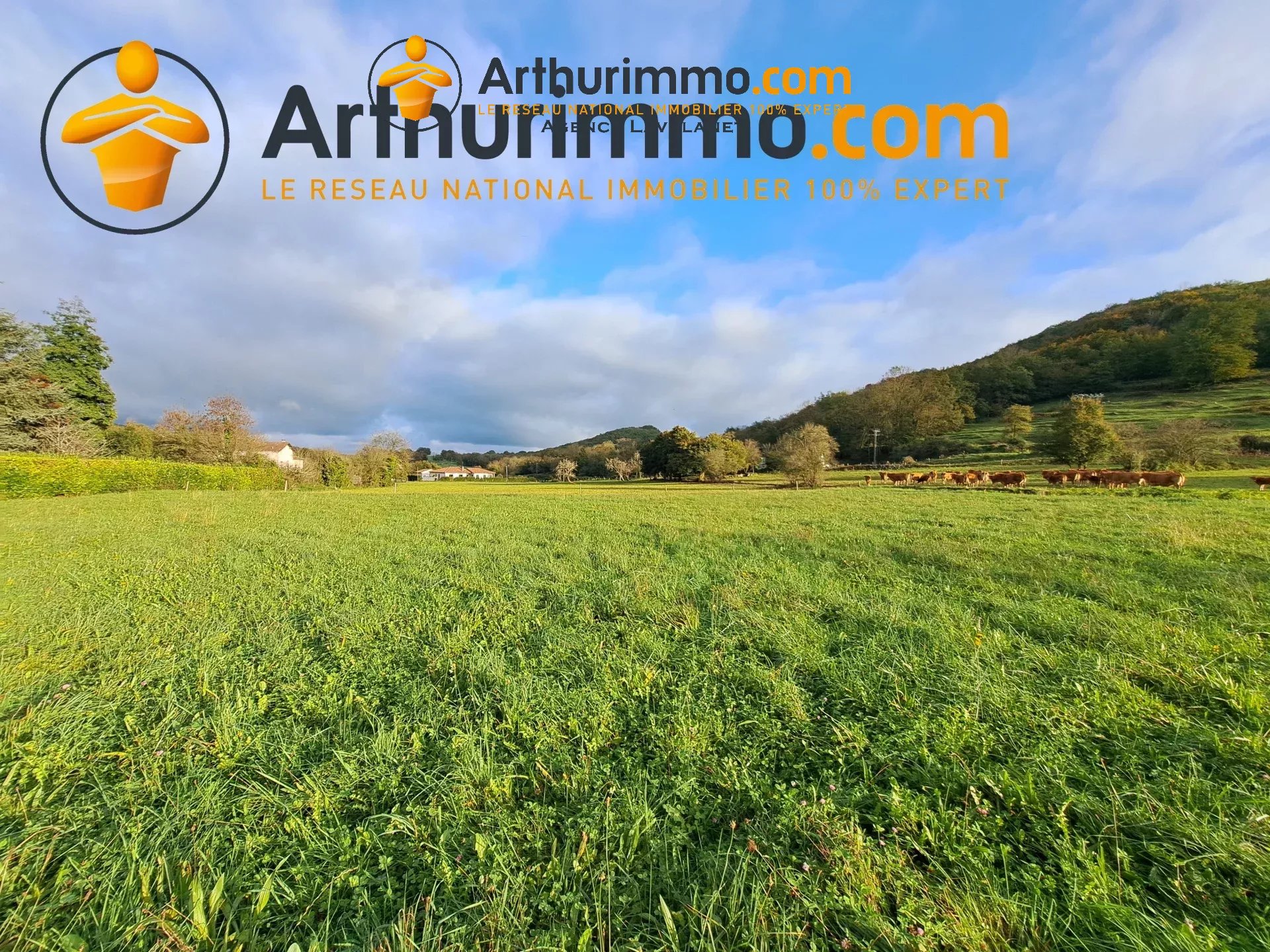 Agence immobilière de 