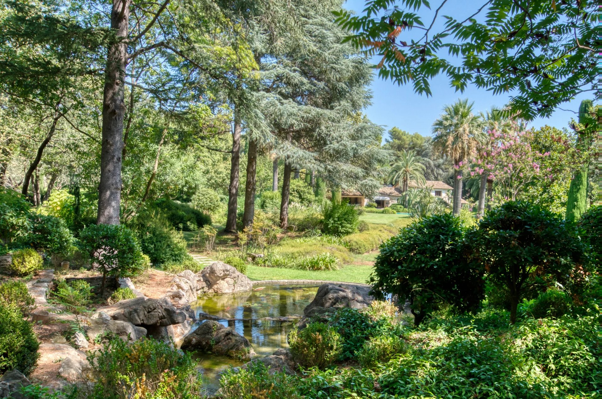 Exclusivité - La Colle sur Loup - Domaine en pierre avec 4 maisons  - Piscine
