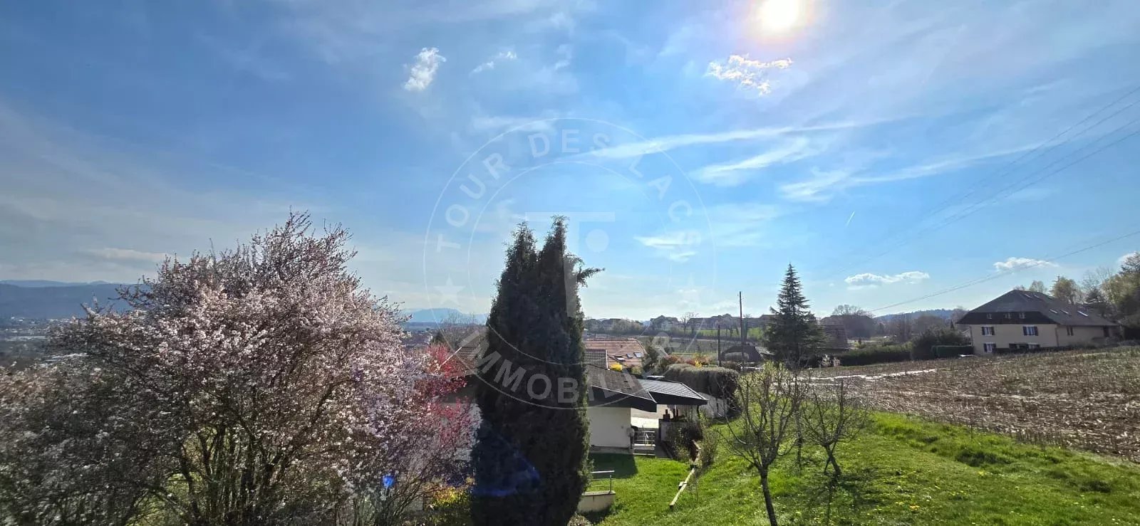 Agence immobilière de 