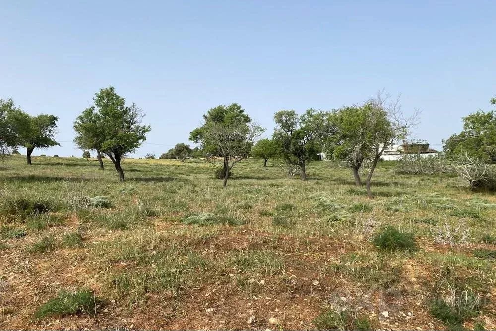 Terreno Rustico 34484 m2