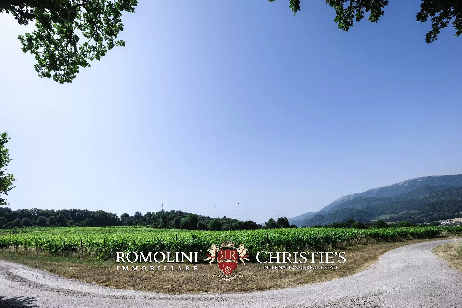 3 Bedroom Vineyard's Image 29
