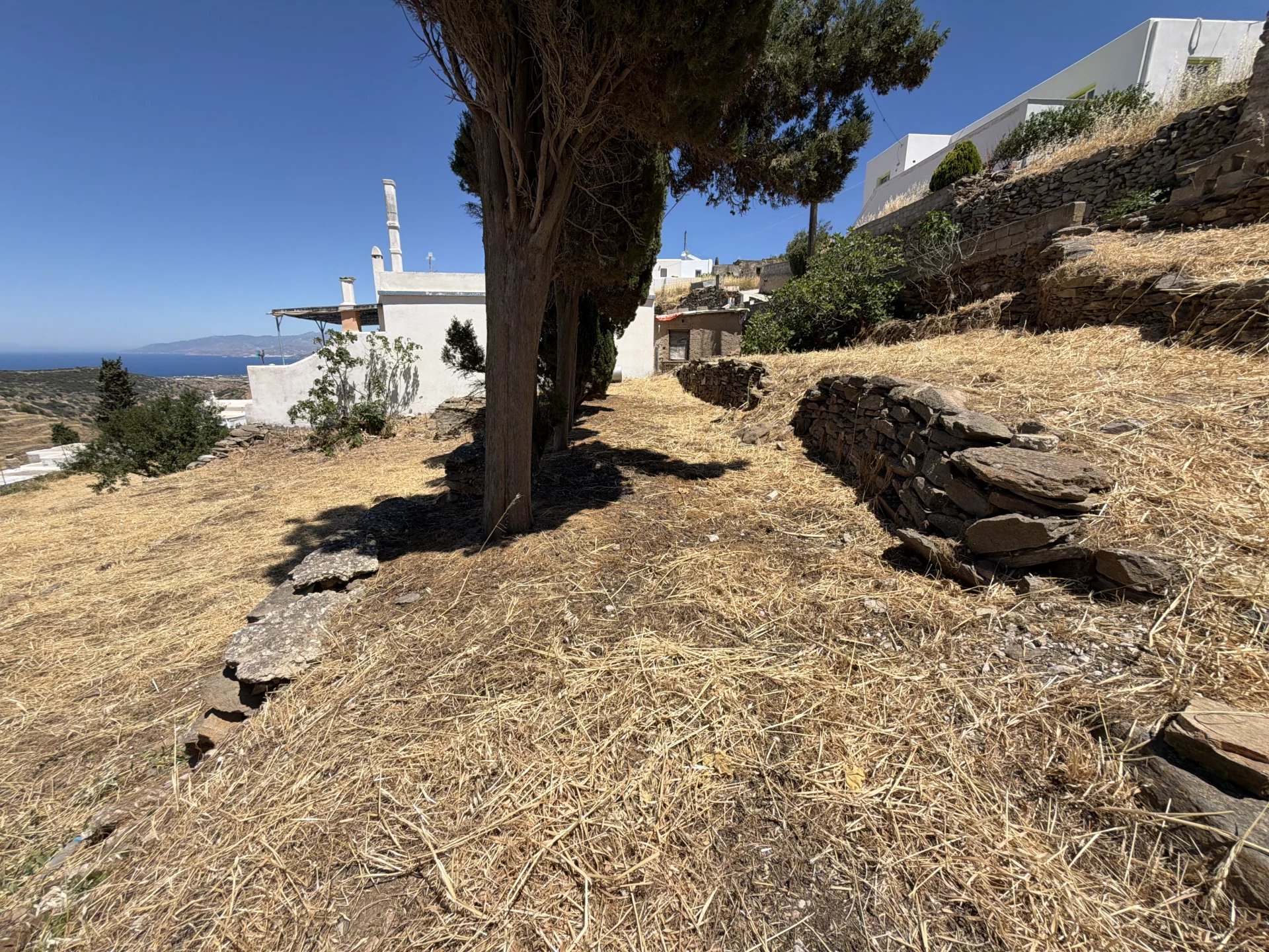 Image de la propriété 10