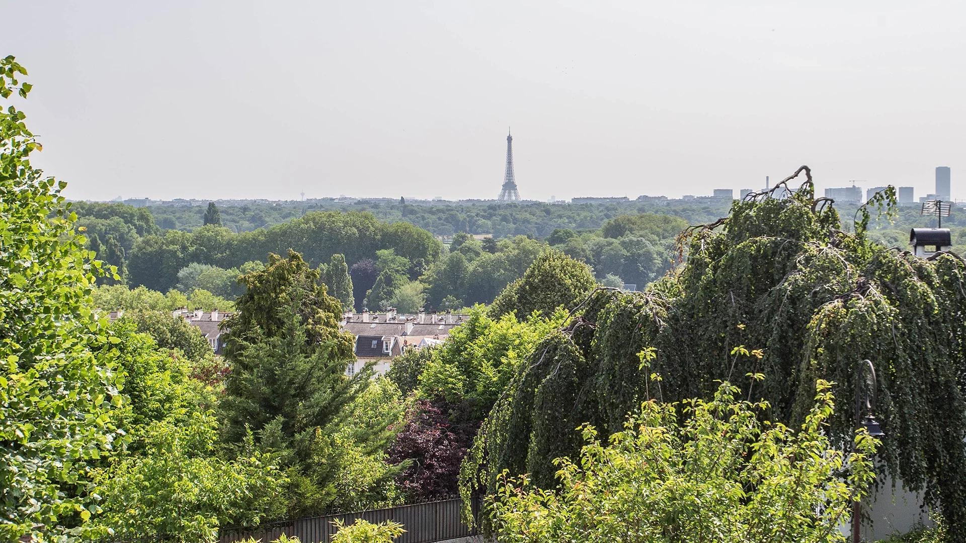 Saint-Cloud - LES COTEAUX
