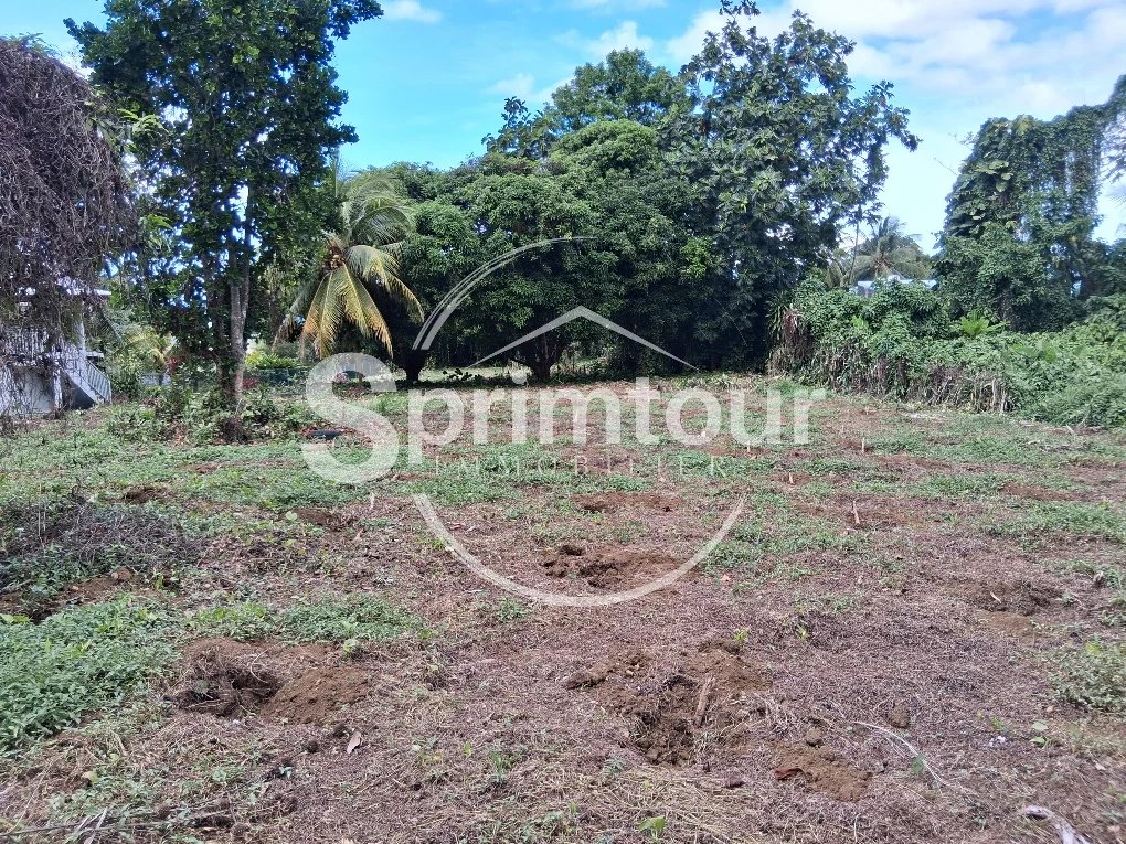 CAPESTERRE Terrain 2763 M2 'Fond Cacao'