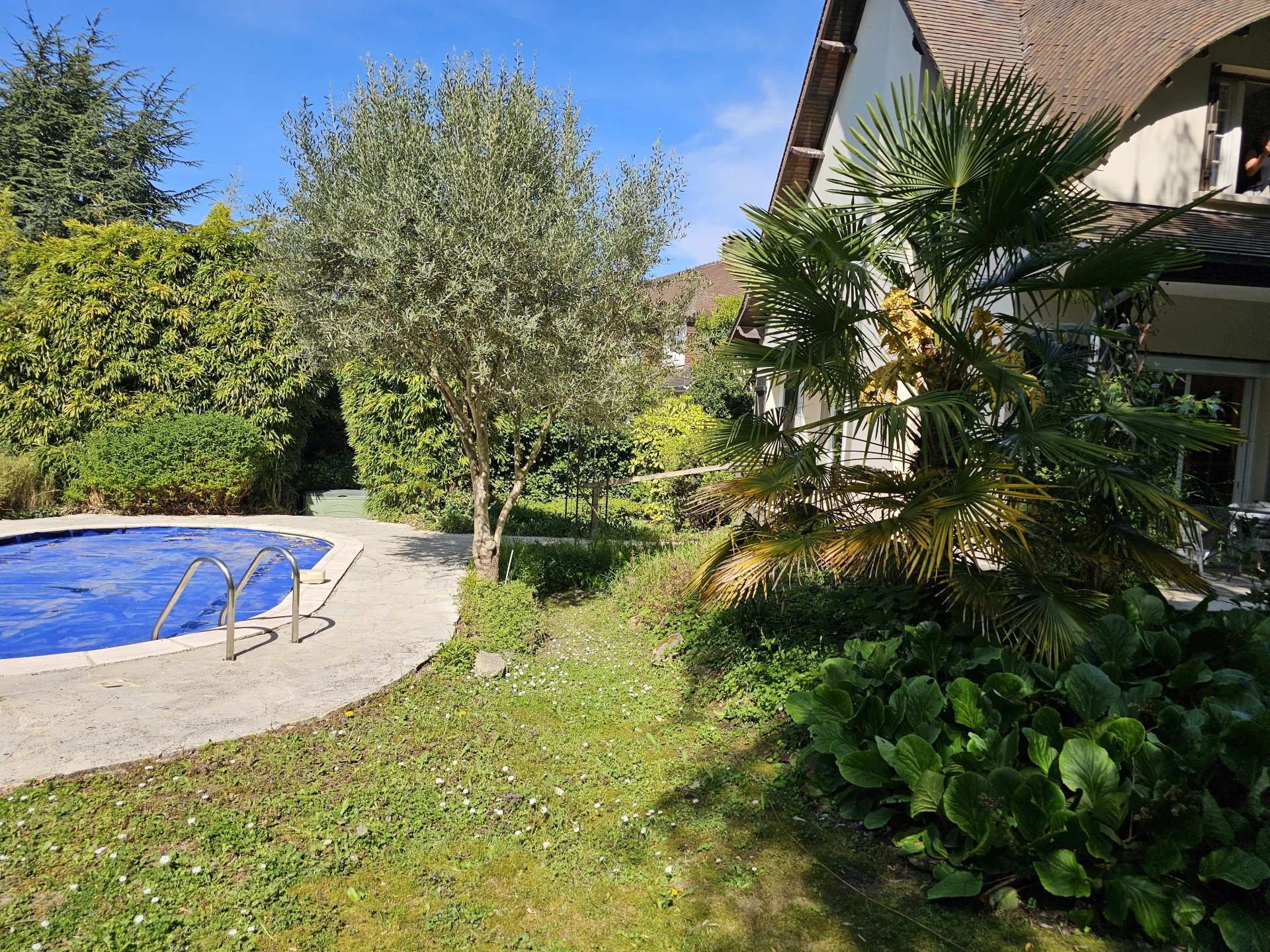 Image de la propriété 6