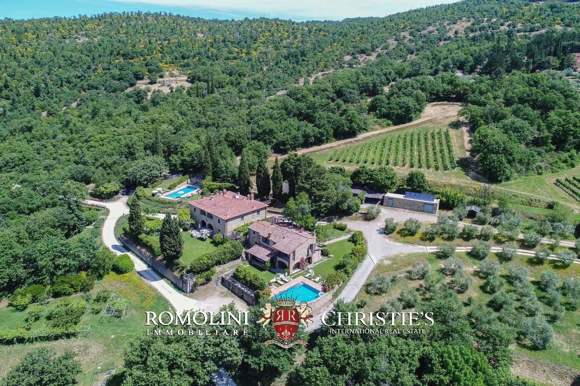 TENUTA VINICOLA BIOLOGICA IN VENDITA, CANTINA BIO TOSCANA