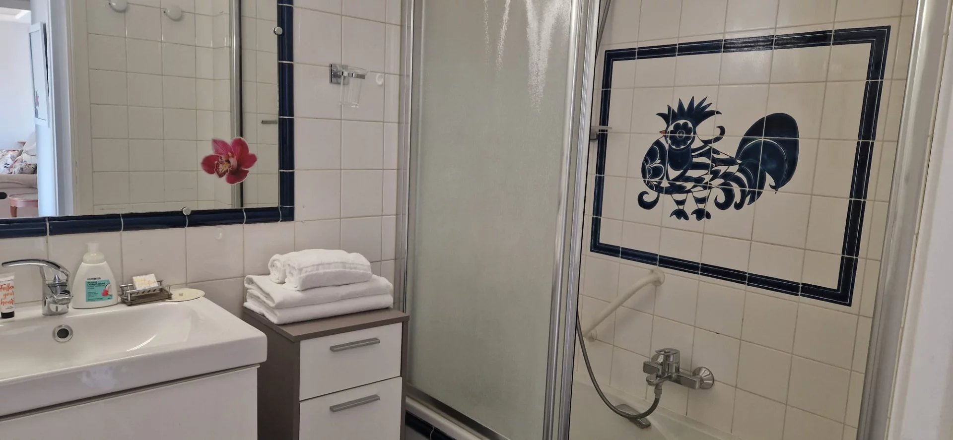 Location Appartement Cannes