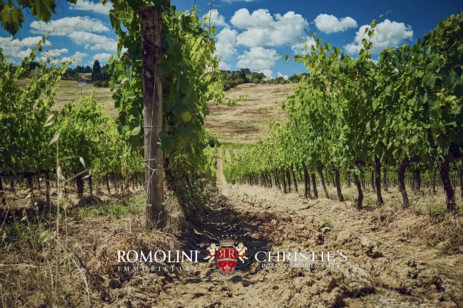 18 Bedroom Vineyard's Image 36