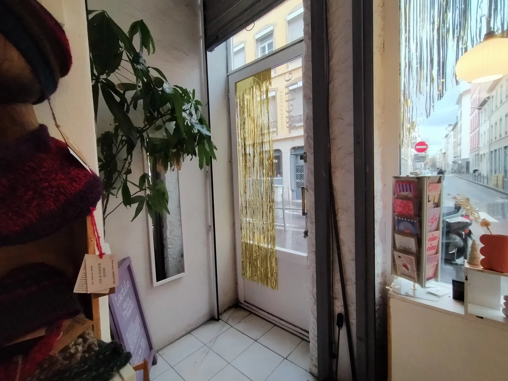 525019 Location Lyon 7ème