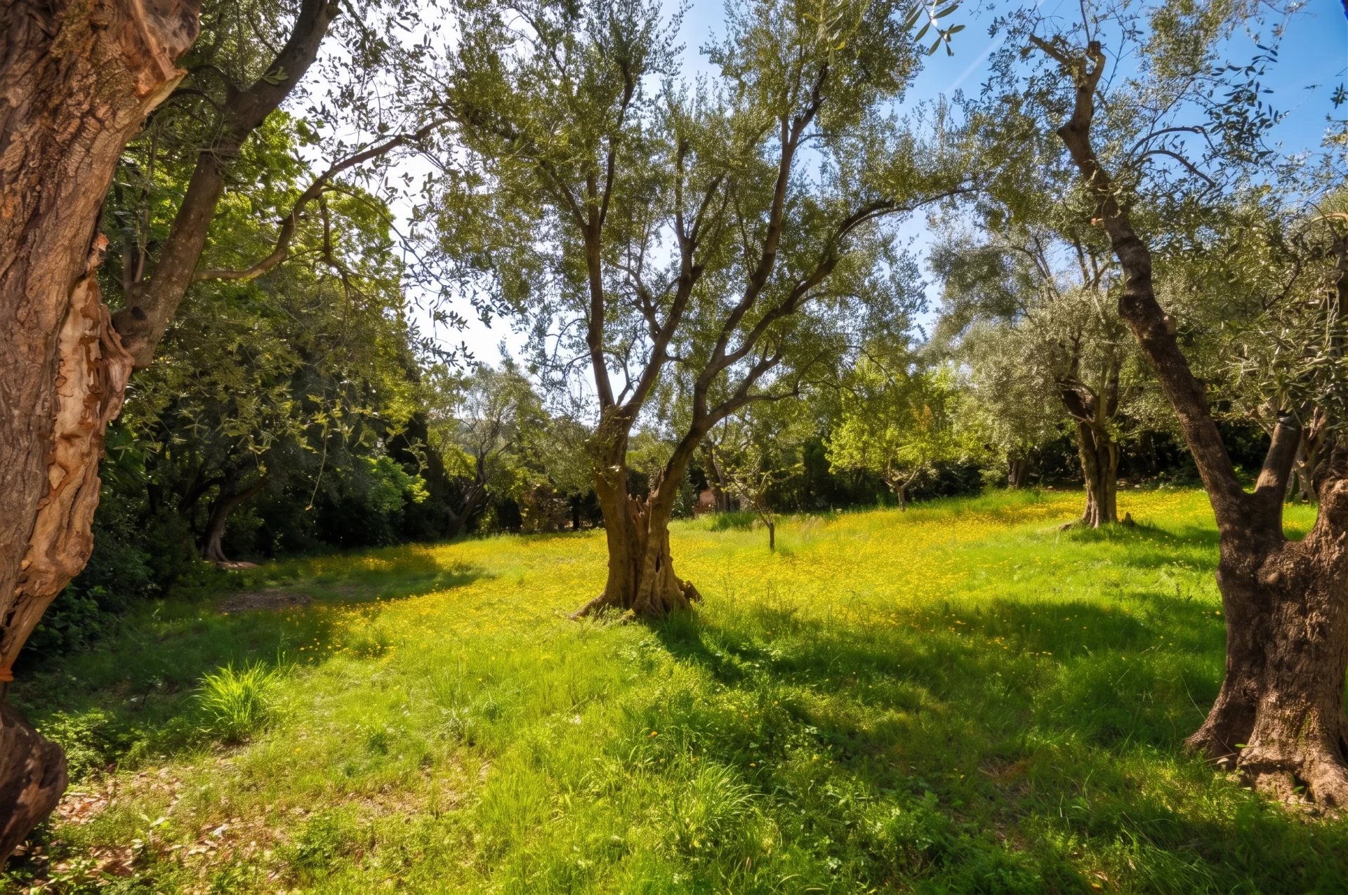 MOUGINS-PROPERTY 2 VILLAS ON A FENCED AND WOODED  PLOT OF 6700 M²