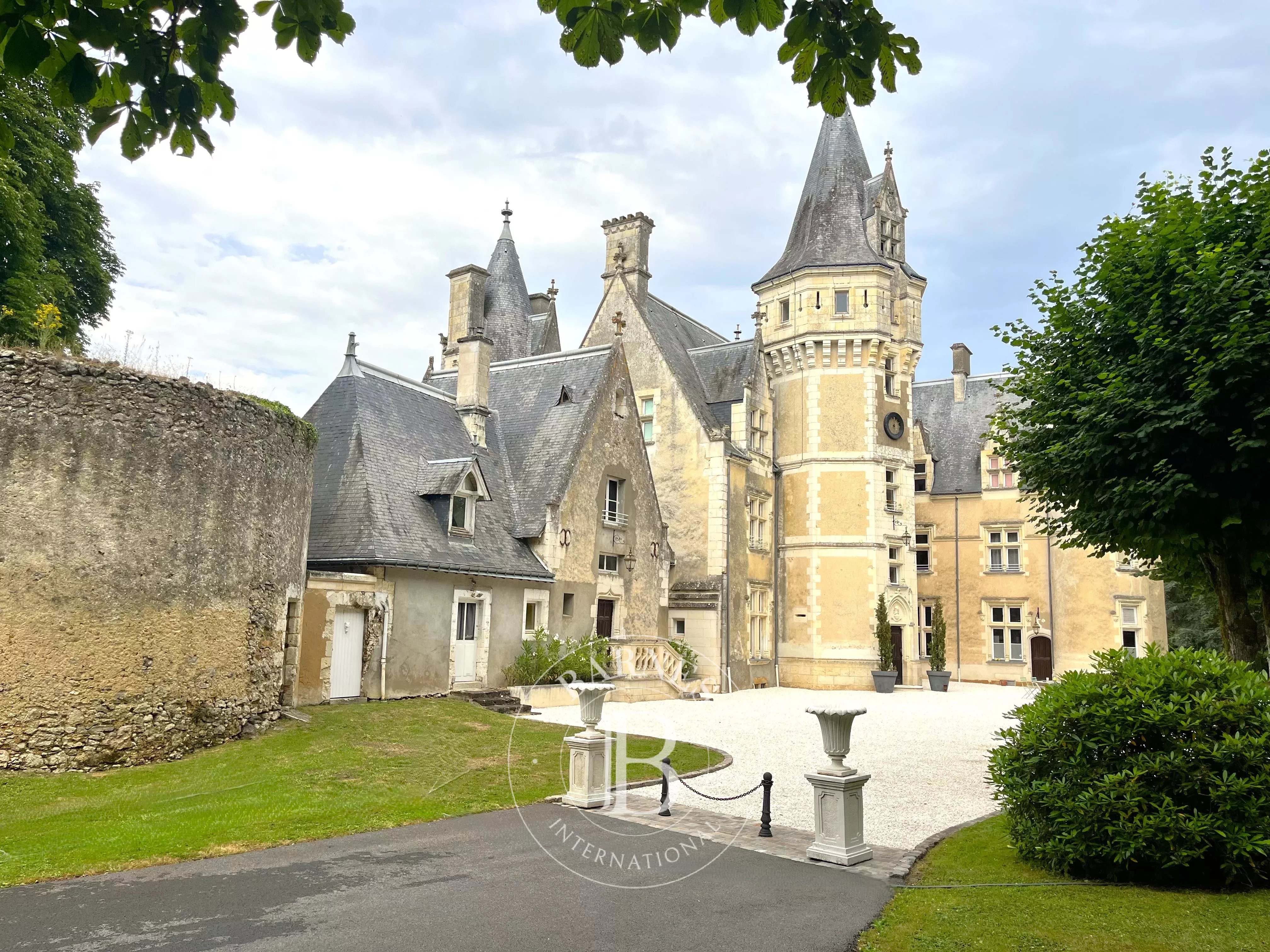 Château Château-du-Loir  -  ref 87117961 (picture 1)