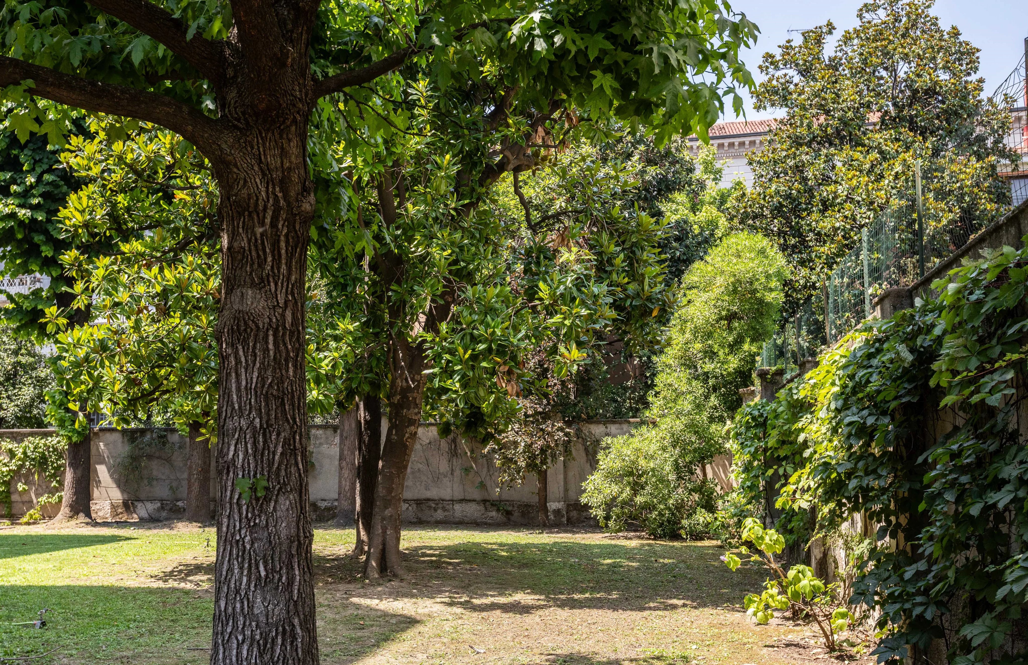 CORSO VERCELLI PAGANO AREA