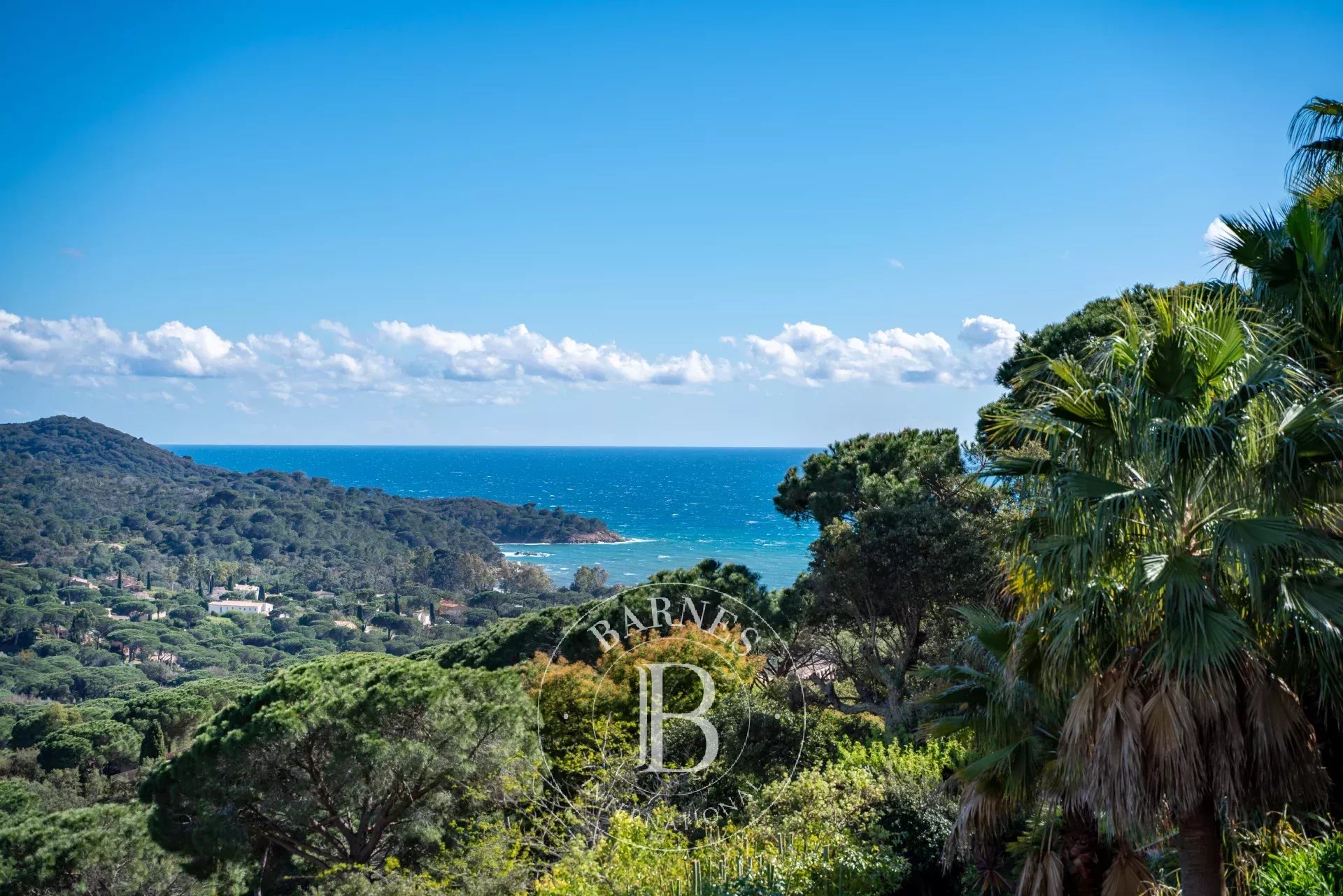 Villa La Croix-Valmer  -  ref 84514825 (picture 2)